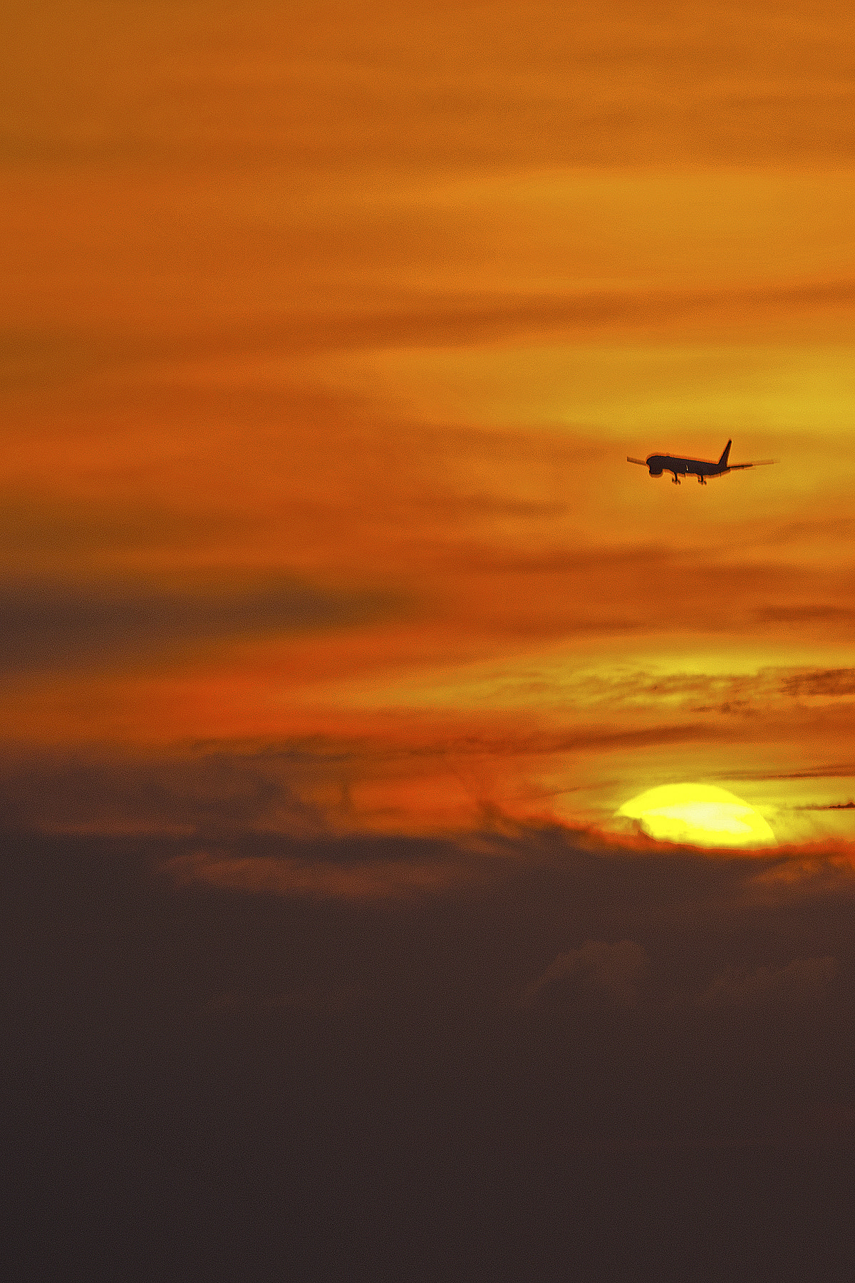 Nikon D7000 sample photo. Flying into the sunset... photography