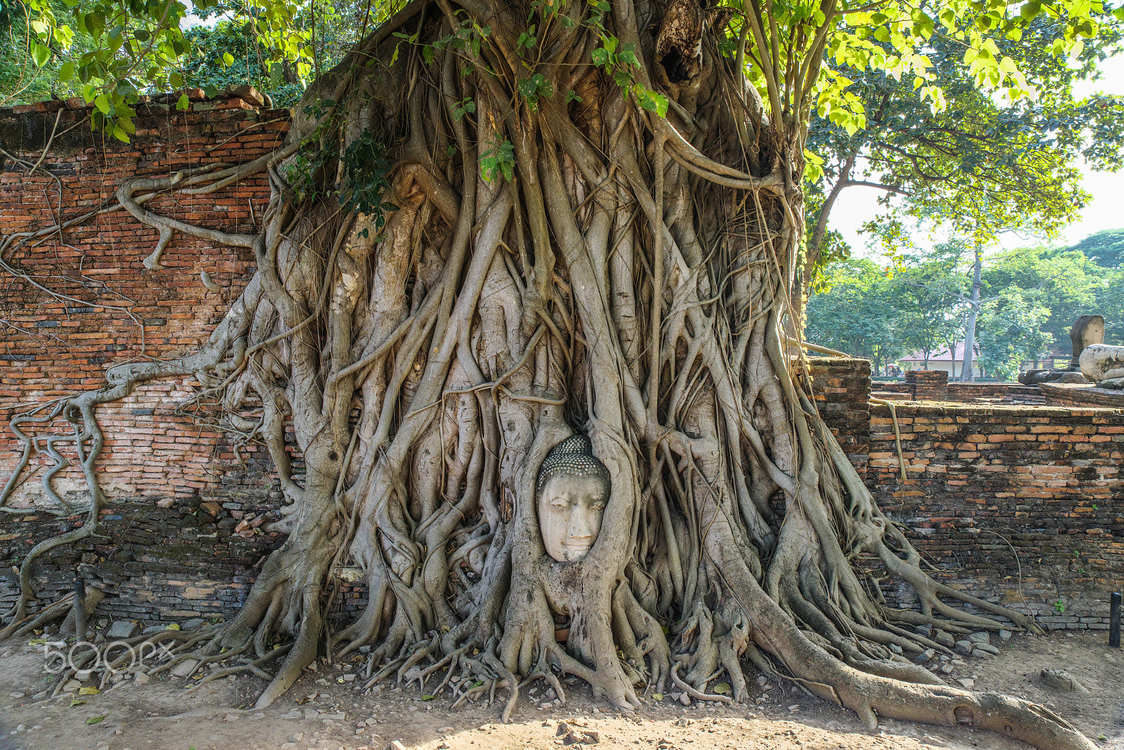 HD Pentax D FA 24-70mm F2.8 ED SDM WR sample photo. Buddhism photography