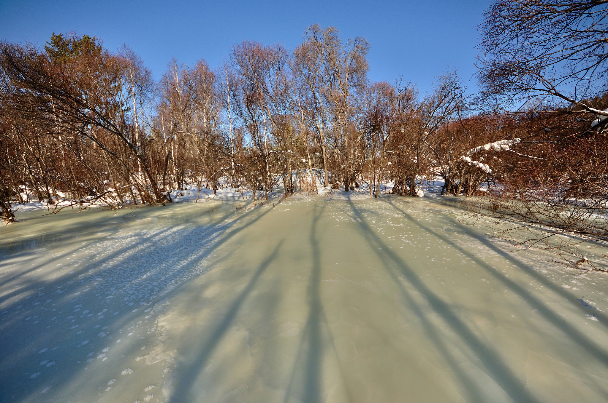 Sigma 8-16mm F4.5-5.6 DC HSM sample photo. *** photography