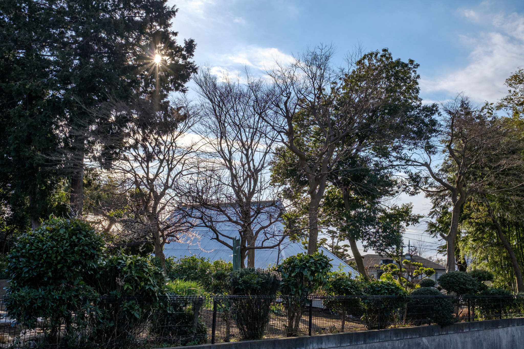 Fujifilm X-Pro2 + Fujifilm XF 23mm F1.4 R sample photo. Roof of the farmhouse photography