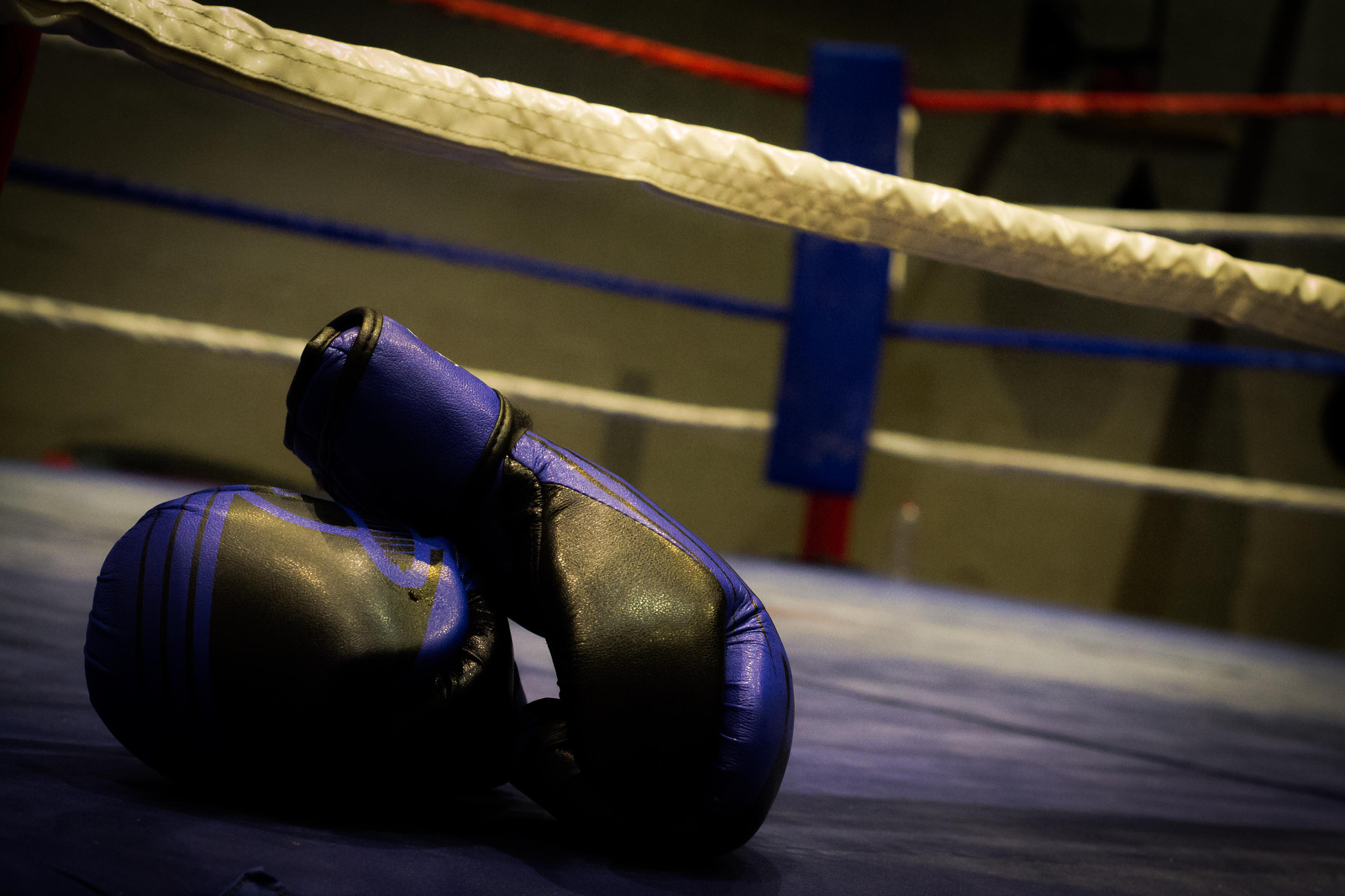Nikon D3100 + Nikon AF Nikkor 50mm F1.8D sample photo. Pre workout photography