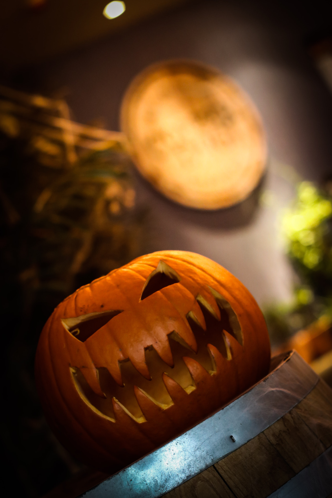 Canon EOS 750D (EOS Rebel T6i / EOS Kiss X8i) + Canon EF 50mm F1.8 II sample photo. The pumpkin king photography