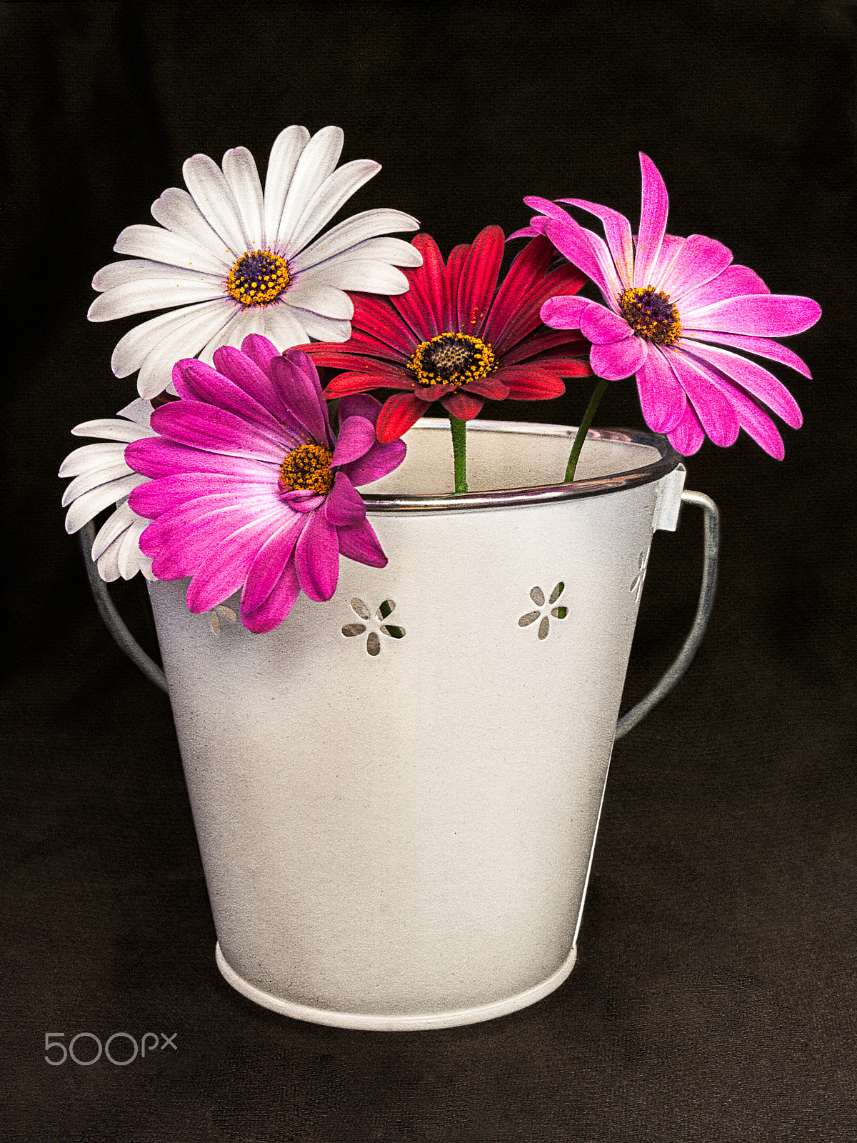 Nikon D90 + Tamron SP AF 17-50mm F2.8 XR Di II VC LD Aspherical (IF) sample photo. Bucket with flowers photography