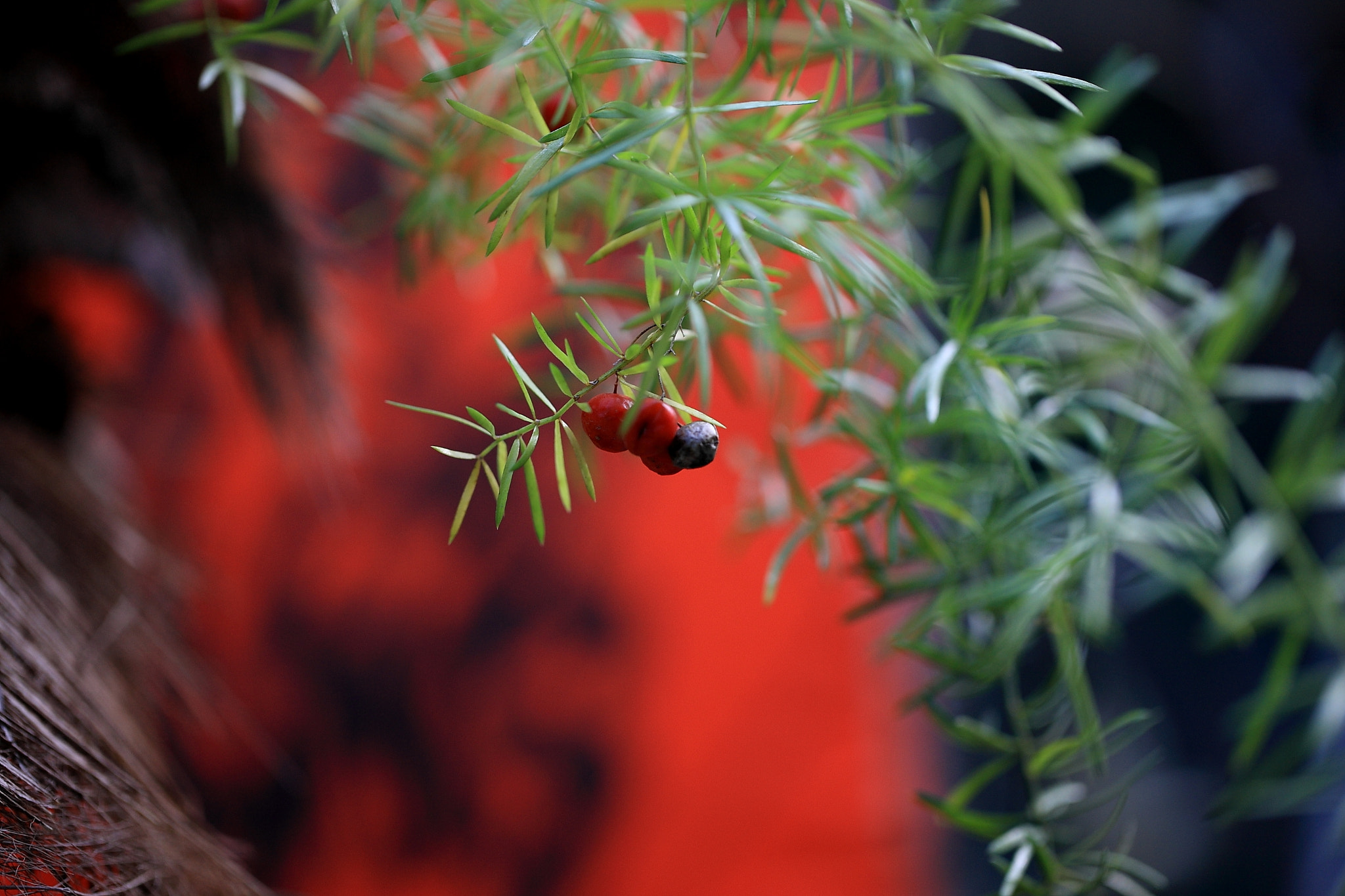 Canon EOS-1Ds Mark III sample photo. Meditation photography