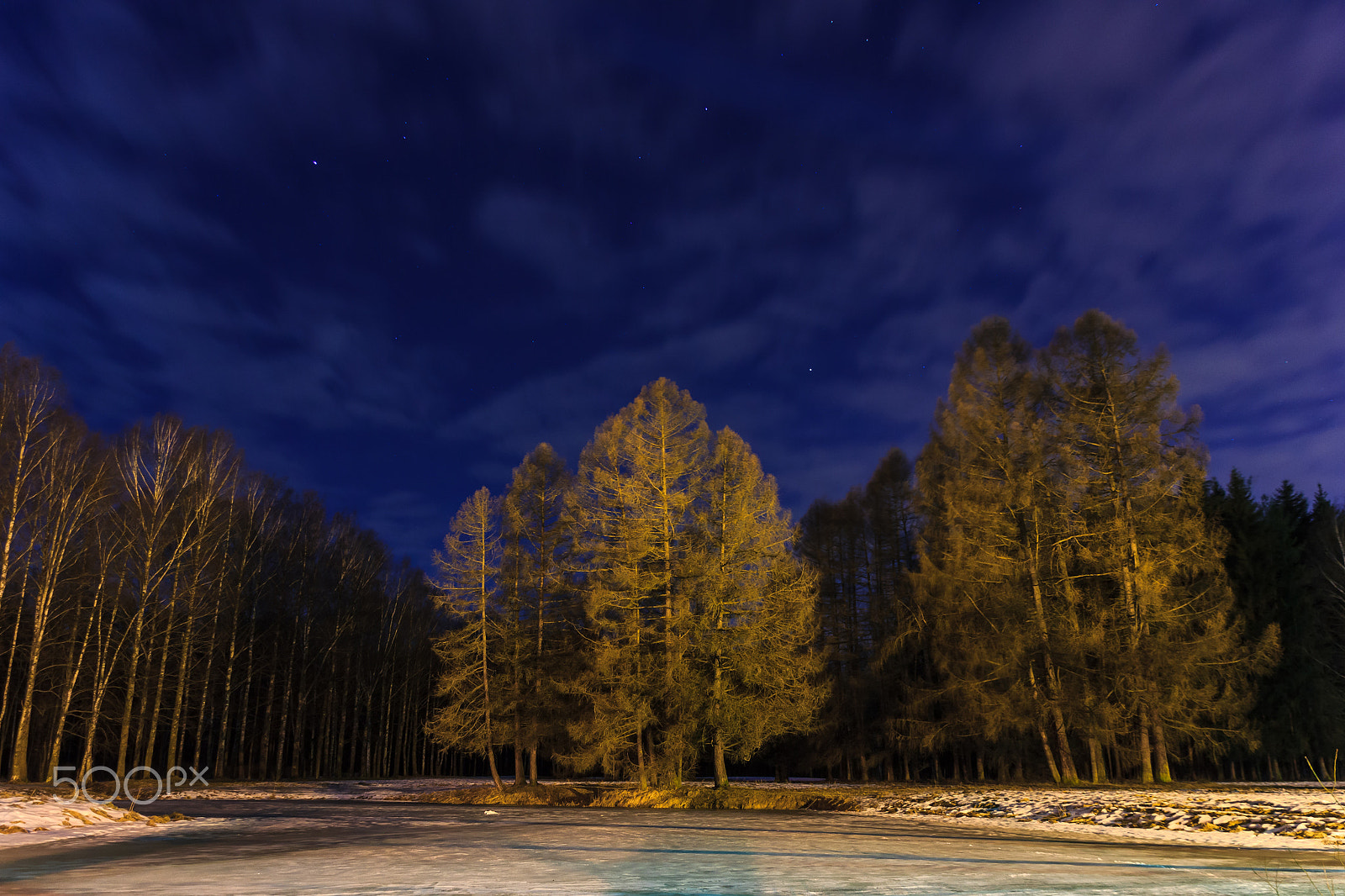 Sigma 18-200mm f/3.5-6.3 DC OS sample photo. At night in the park. photography