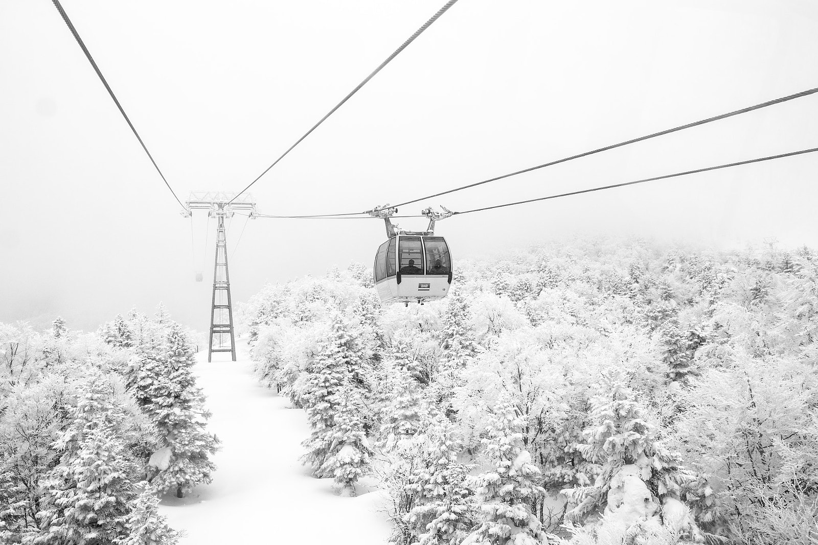 Canon EOS-1D X sample photo. With ropeway photography