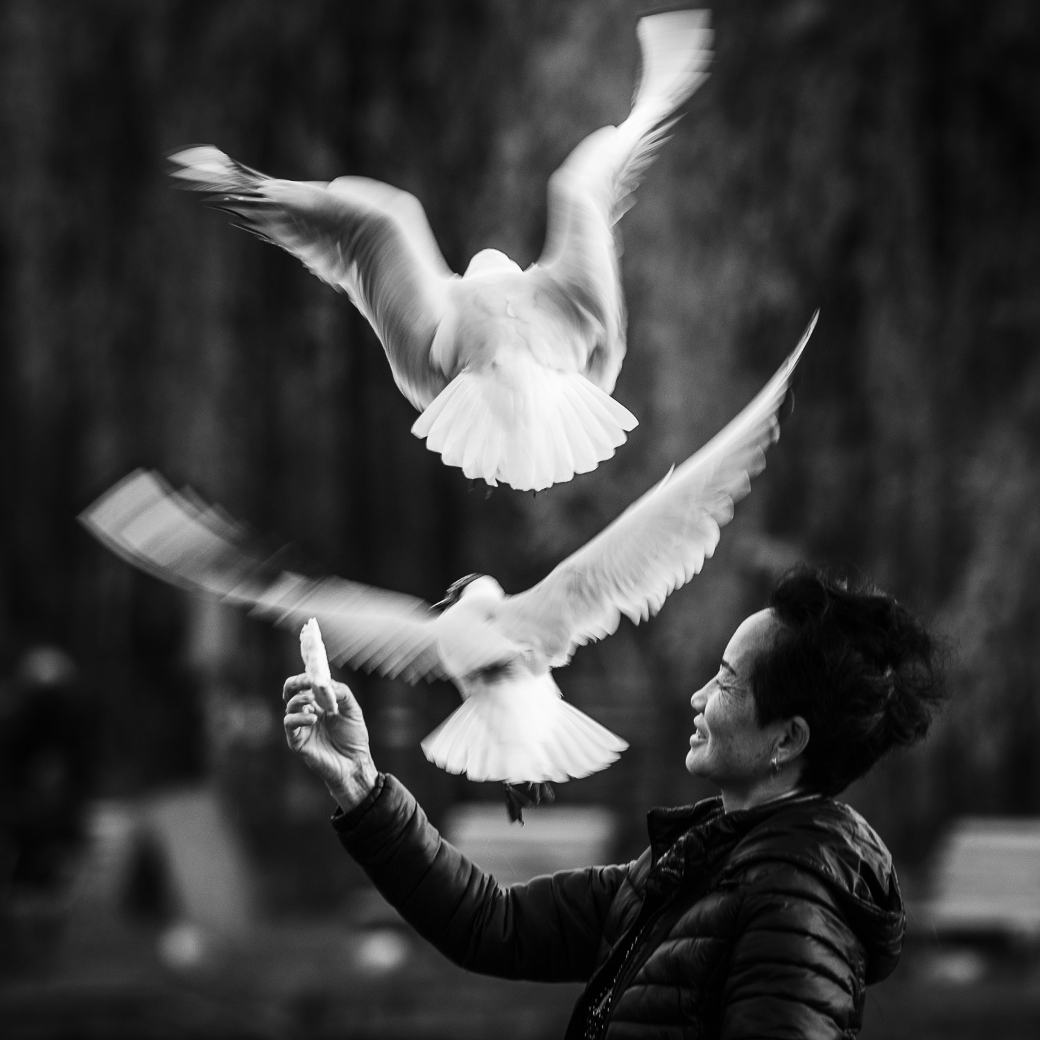 Nikon D300S sample photo. Want to fly photography