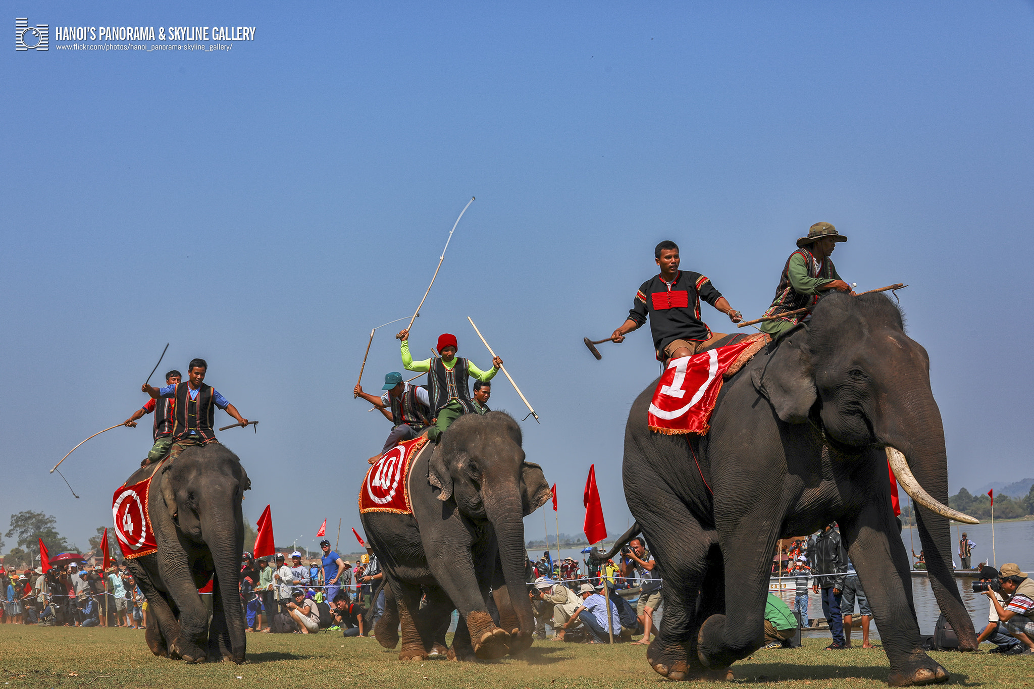 Canon EOS 5D Mark IV sample photo. The buon don elephant races photography