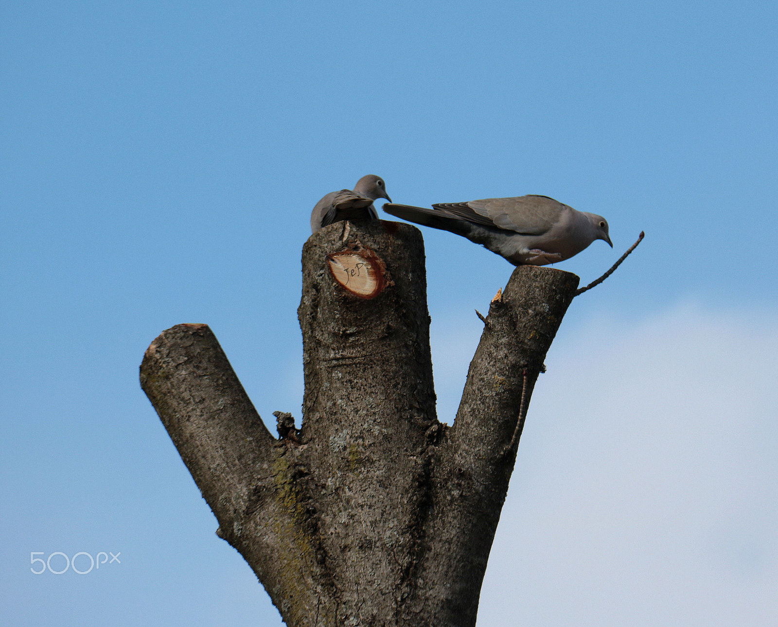Canon EOS 760D (EOS Rebel T6s / EOS 8000D) sample photo. Old couple... photography