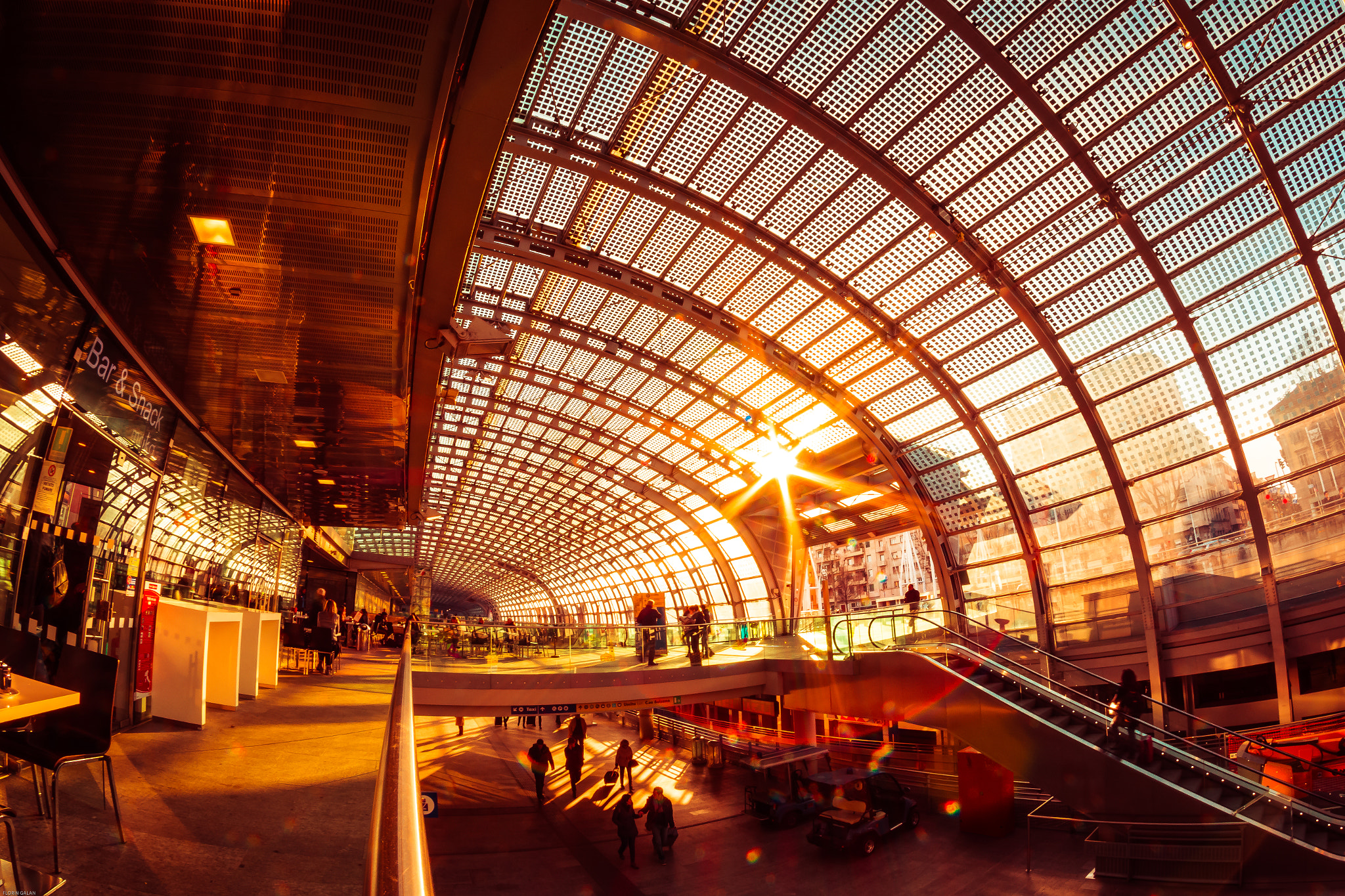 Nikon D7200 + Samyang 8mm F3.5 Aspherical IF MC Fisheye sample photo. Psychedelic world... photography