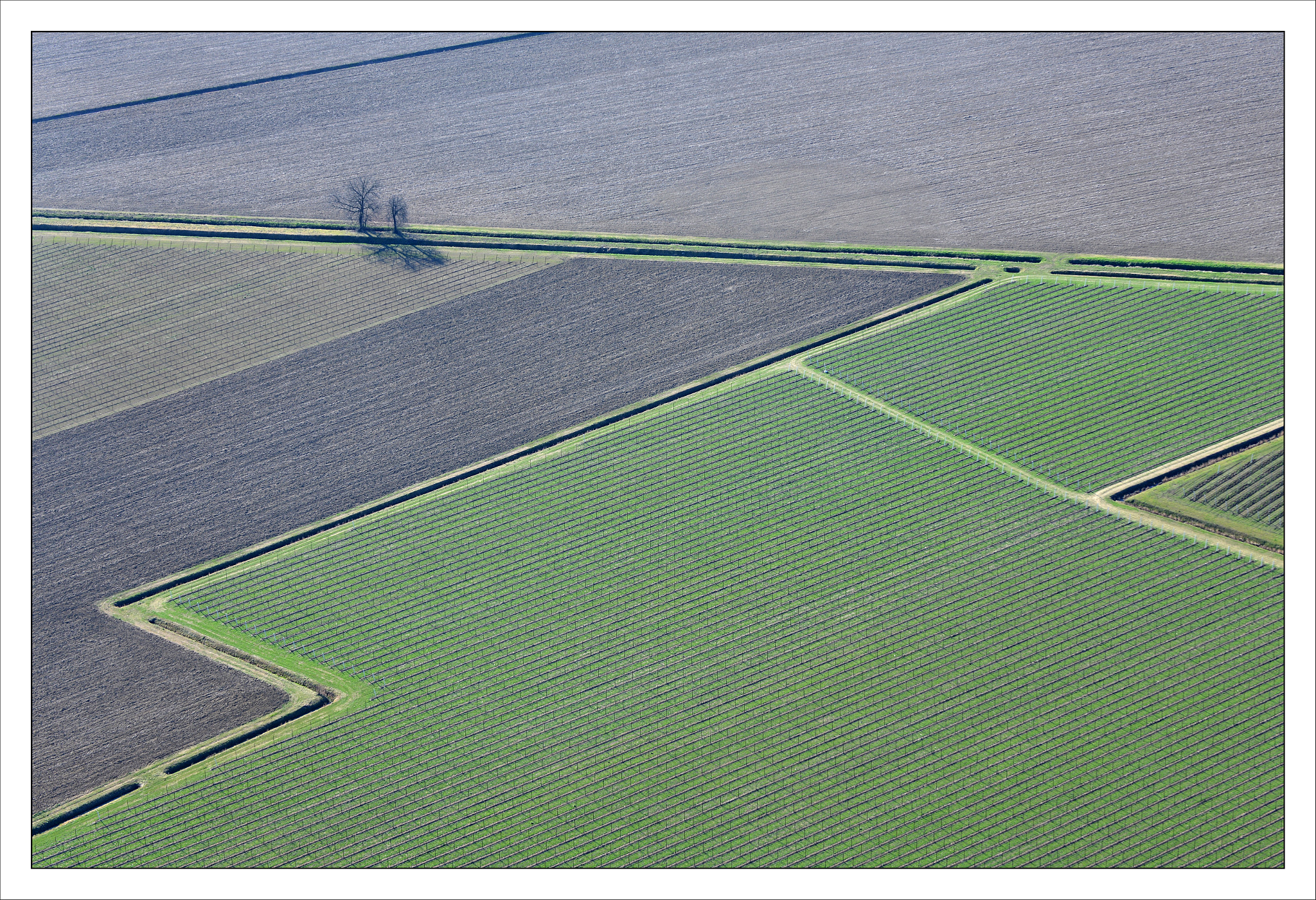 Nikon D800 sample photo. Minimalistic landscape ii photography