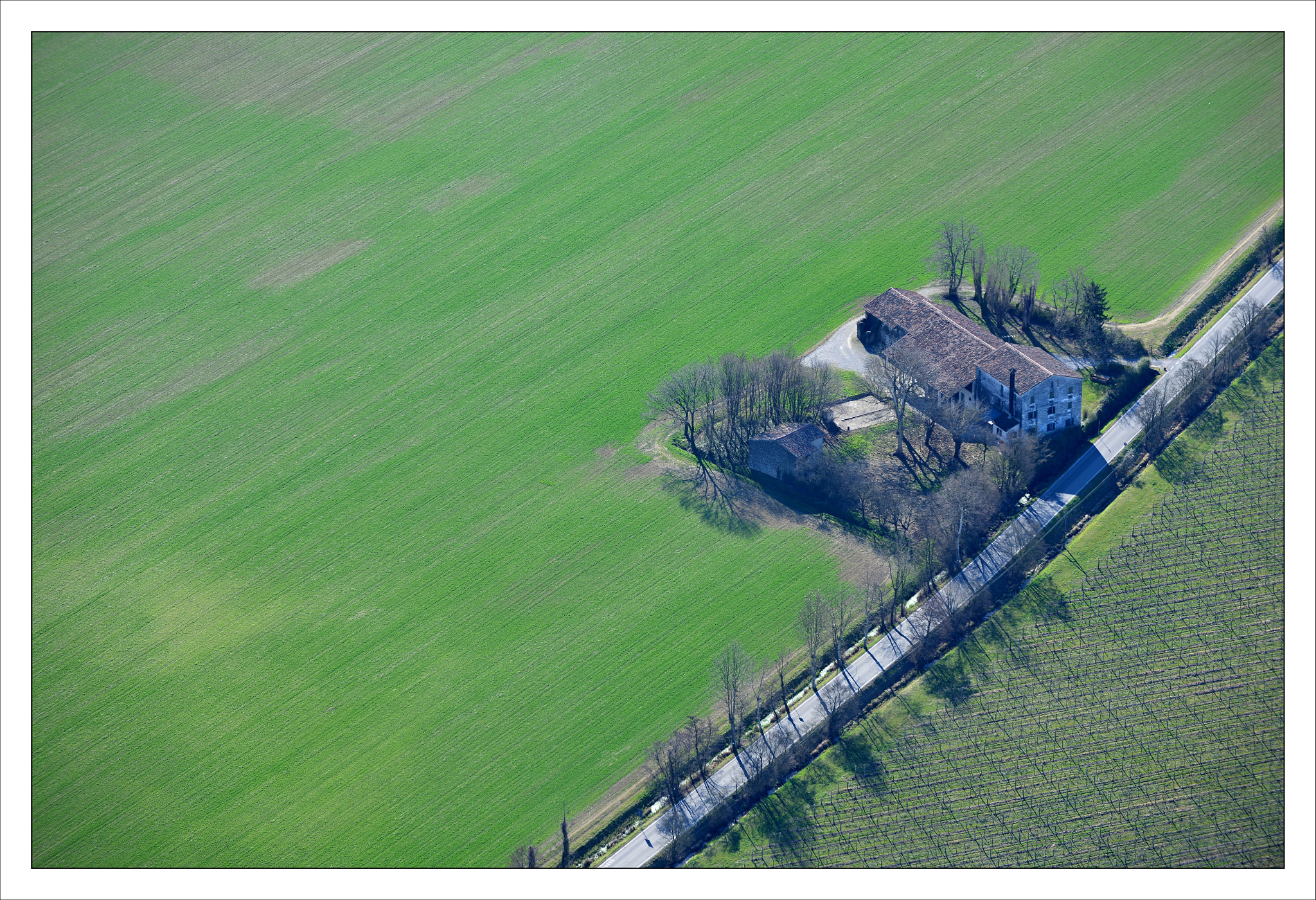 Nikon D800 sample photo. Diagonal in green photography
