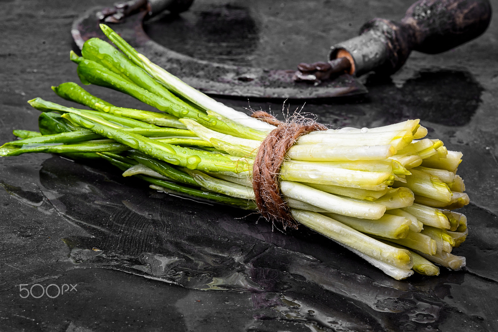 Nikon AF-S Micro-Nikkor 60mm F2.8G ED sample photo. Bunch of fresh wild garlic photography