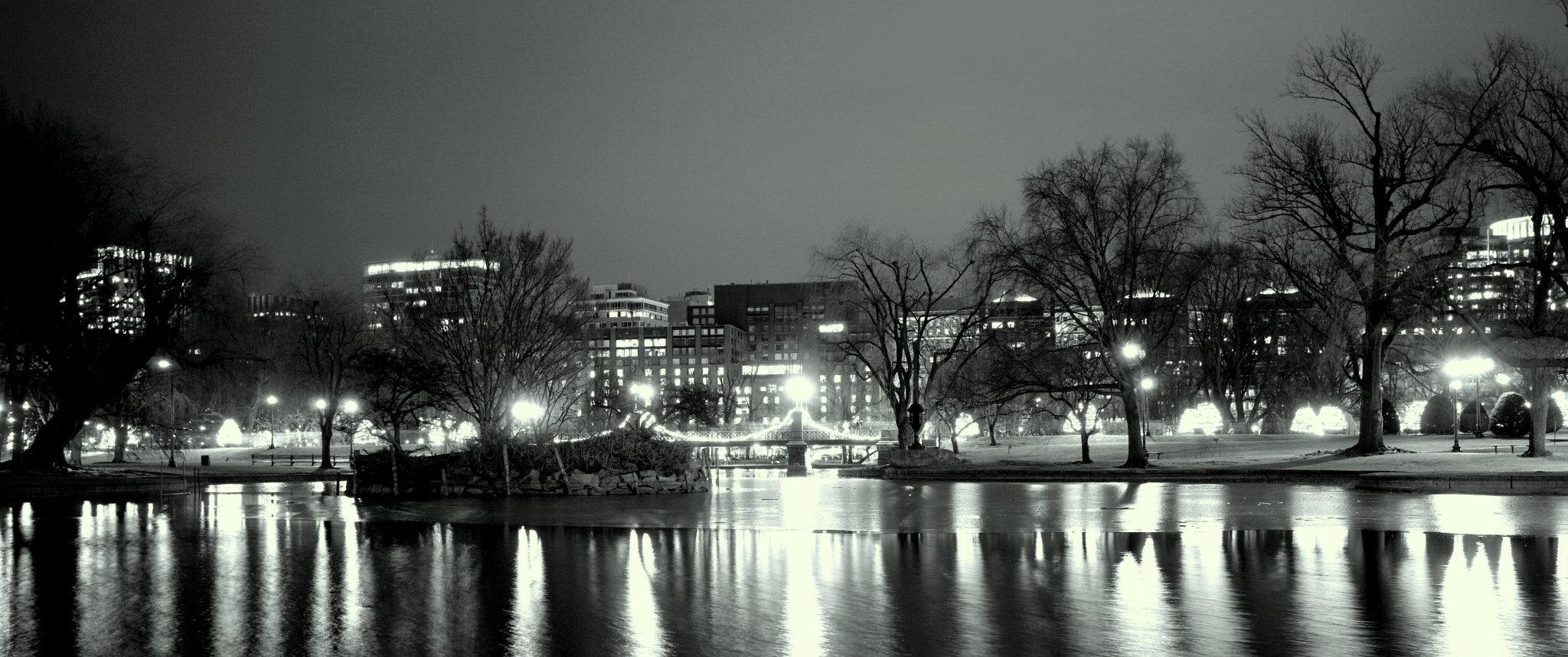 Sony a6000 + Sigma 19mm F2.8 EX DN sample photo. Night at the boston public garden photography