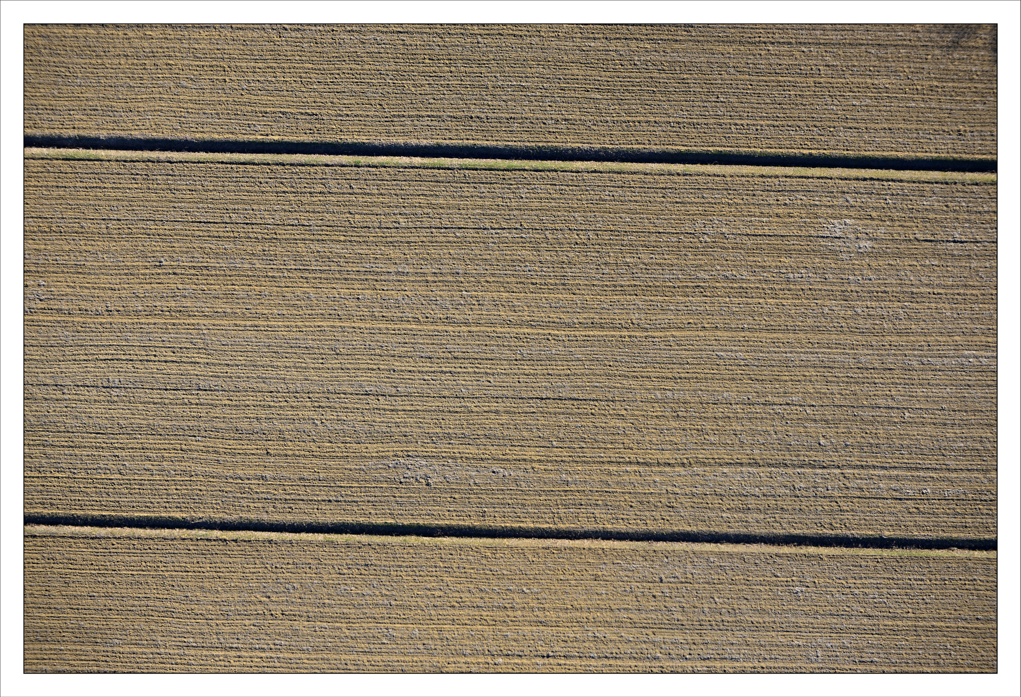 Nikon D800 sample photo. Horizontal photography