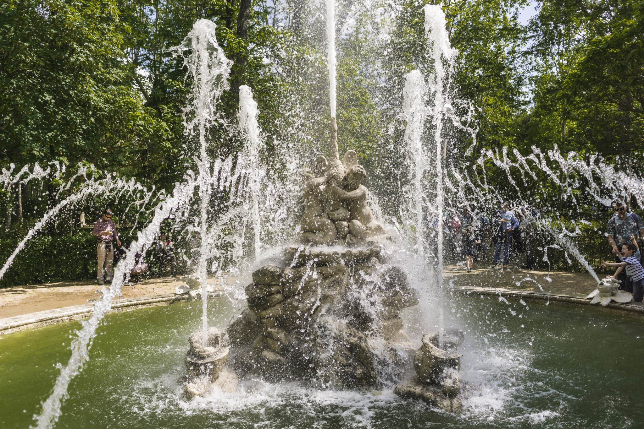 Sony E 20mm F2.8 sample photo. Swan fountain photography