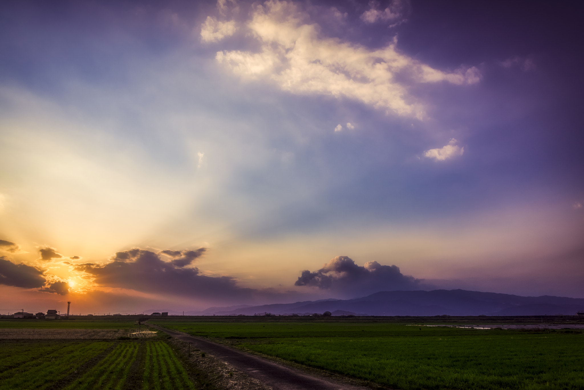 Nikon D810 sample photo. My colorful sunset photography