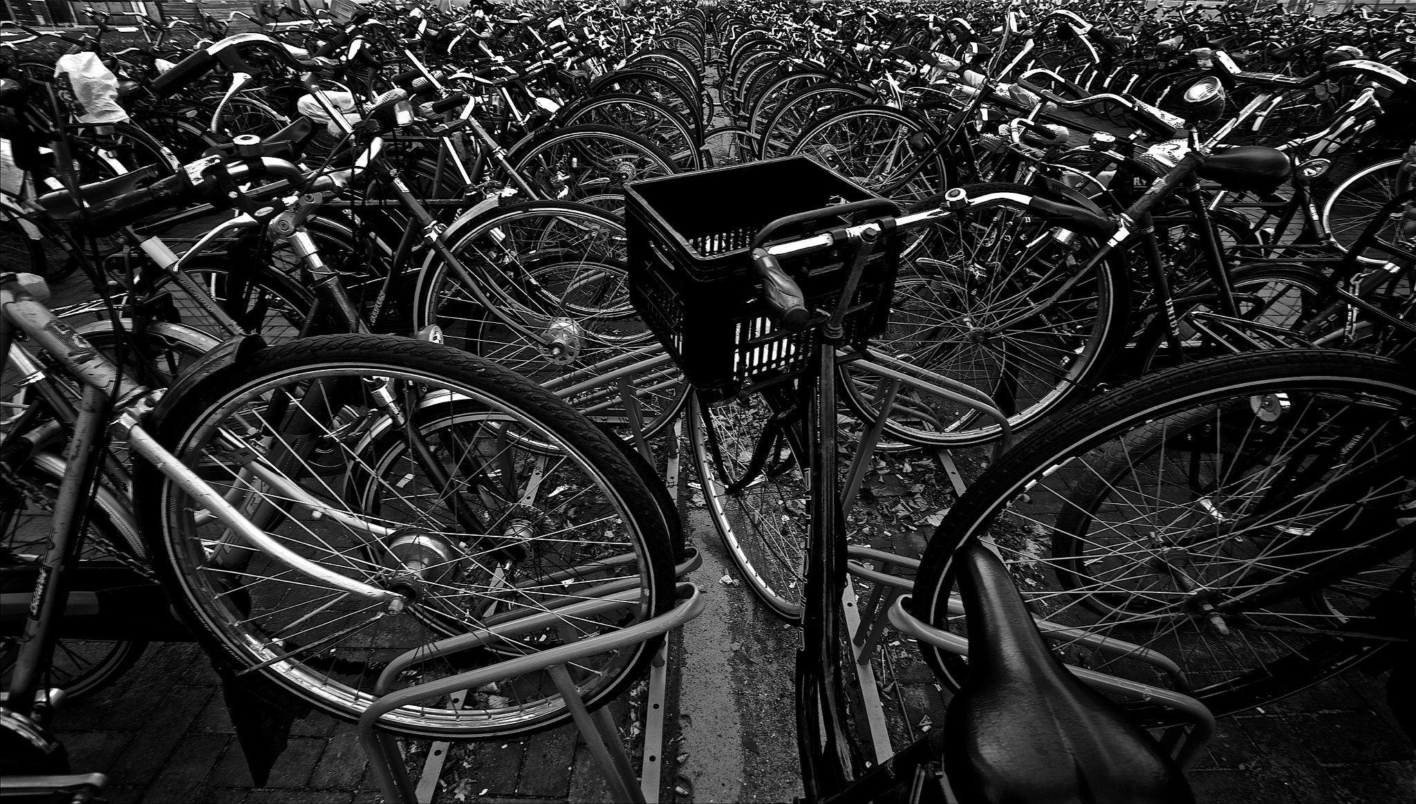 Canon EOS 5D Mark II sample photo. Bicycles, rotterdam station. #bicycle #bicyclelove ... photography