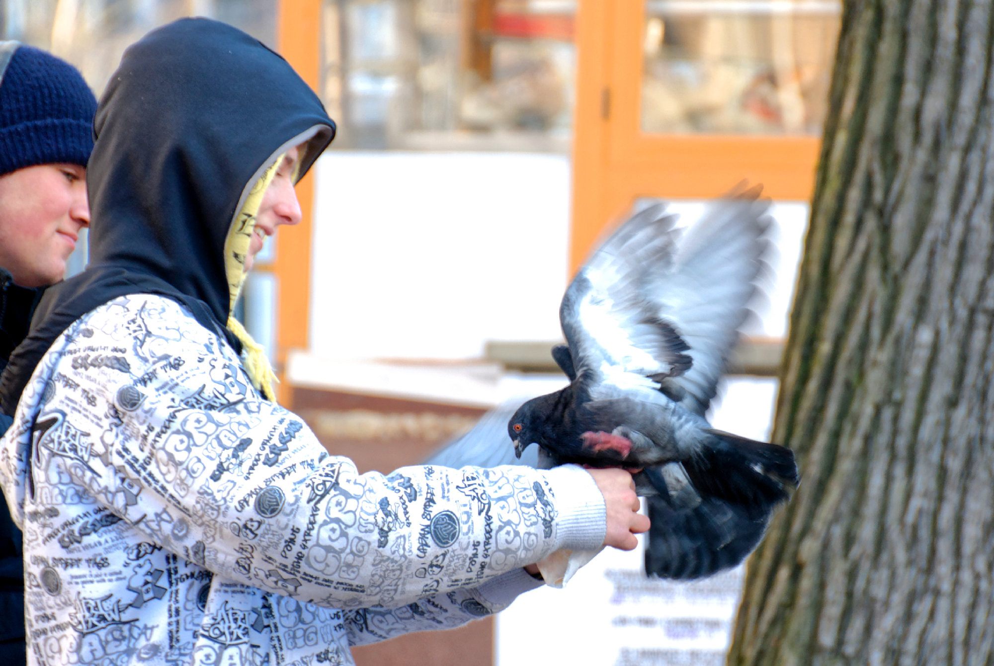 Nikon D200 sample photo. Pigeon-vole... photography