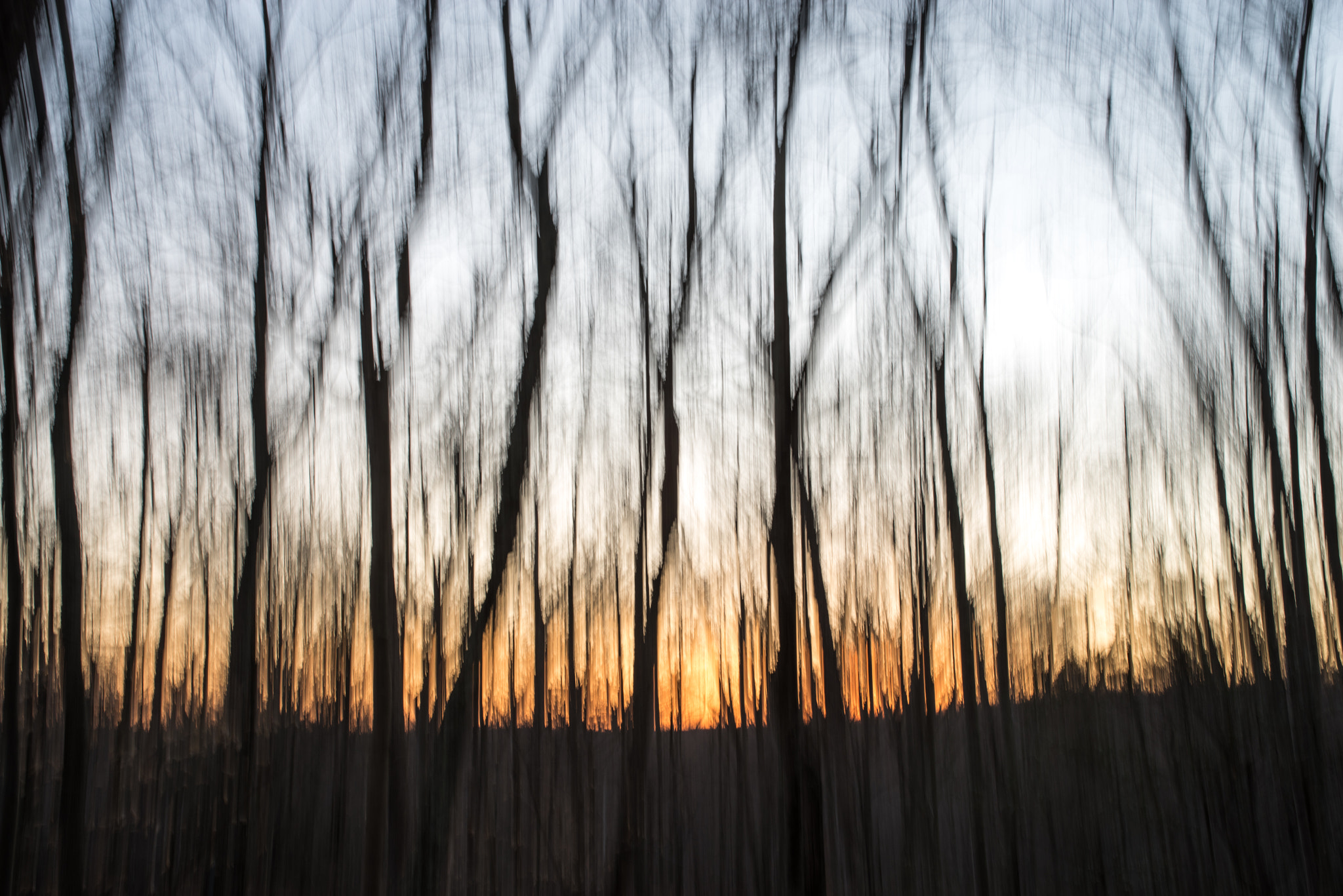 Pentax K-1 sample photo. Warm forest sunset photography