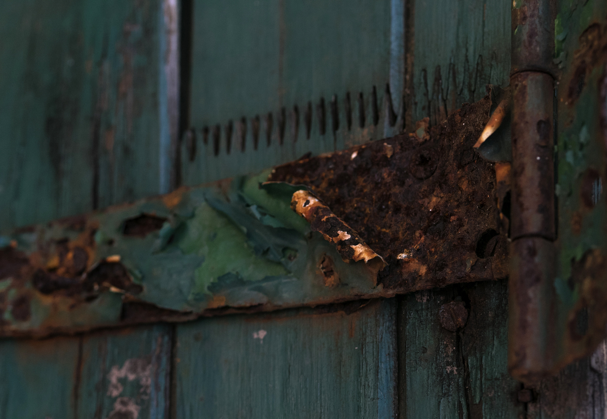 Sigma 105mm F2.8 EX DG OS HSM sample photo. Unhinged photography