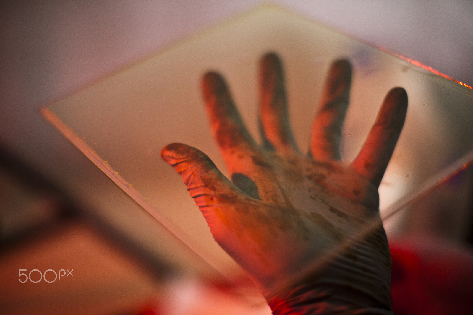 Canon EF 50mm F1.2L USM sample photo. Hand photography