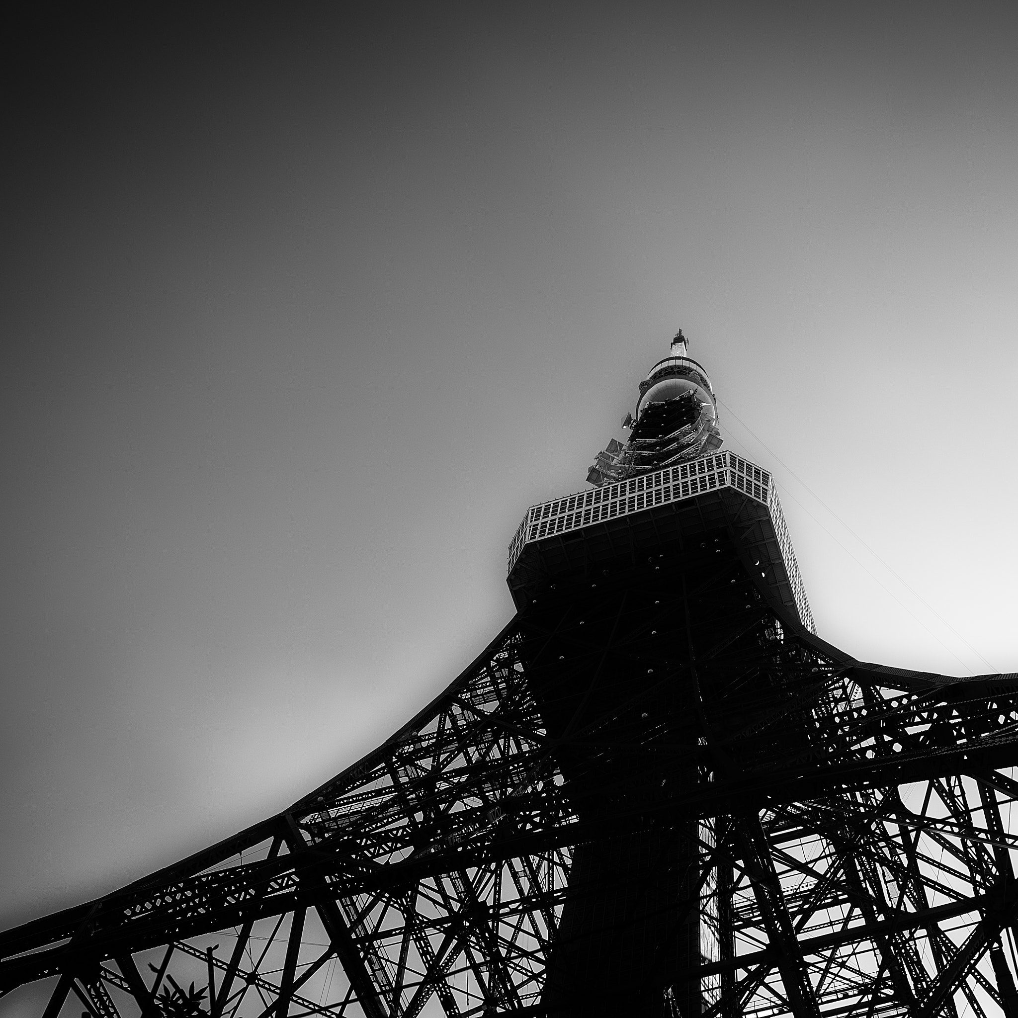 HD Pentax D FA 24-70mm F2.8 ED SDM WR sample photo. Tokyo tower photography