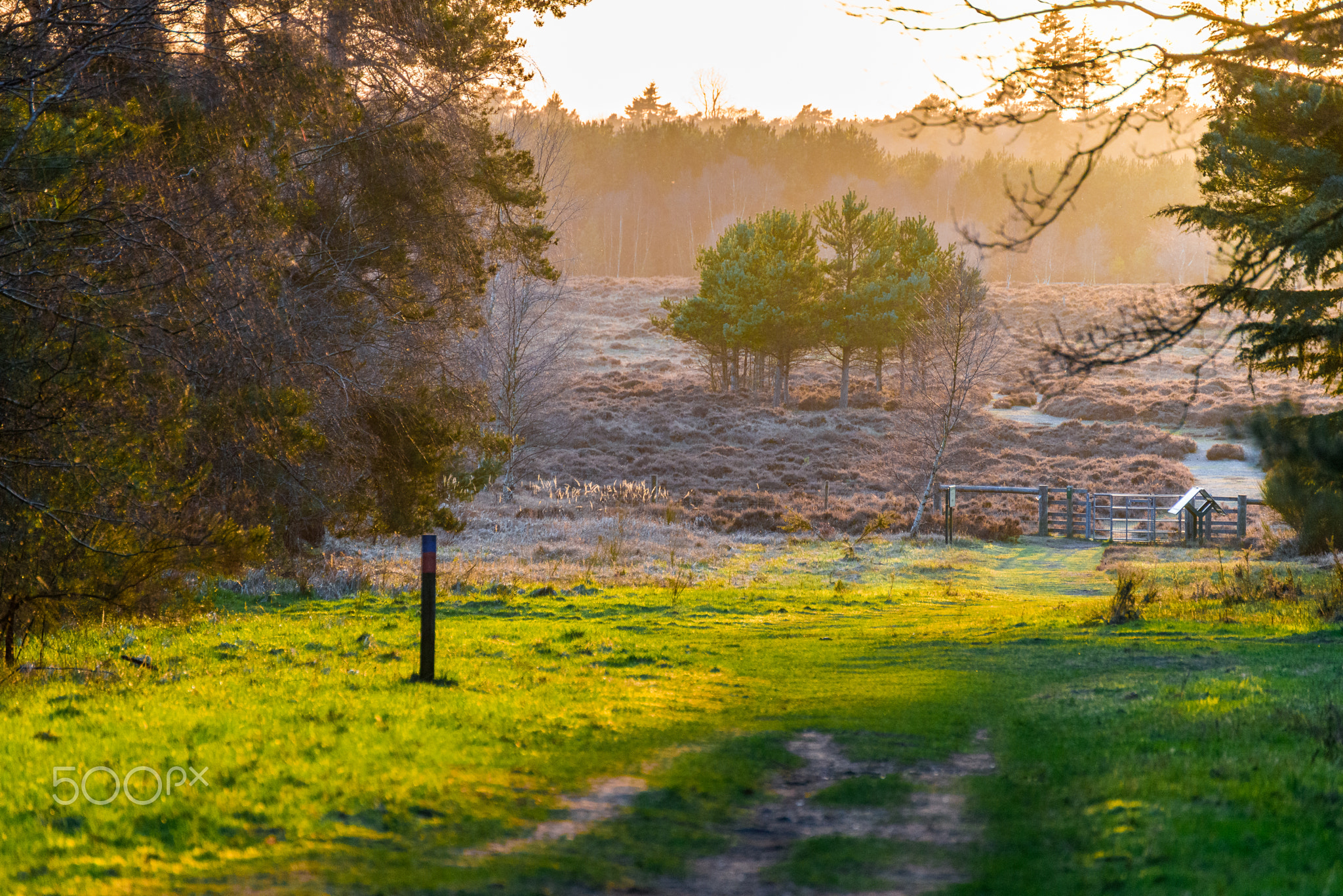 Brandon Forest Park