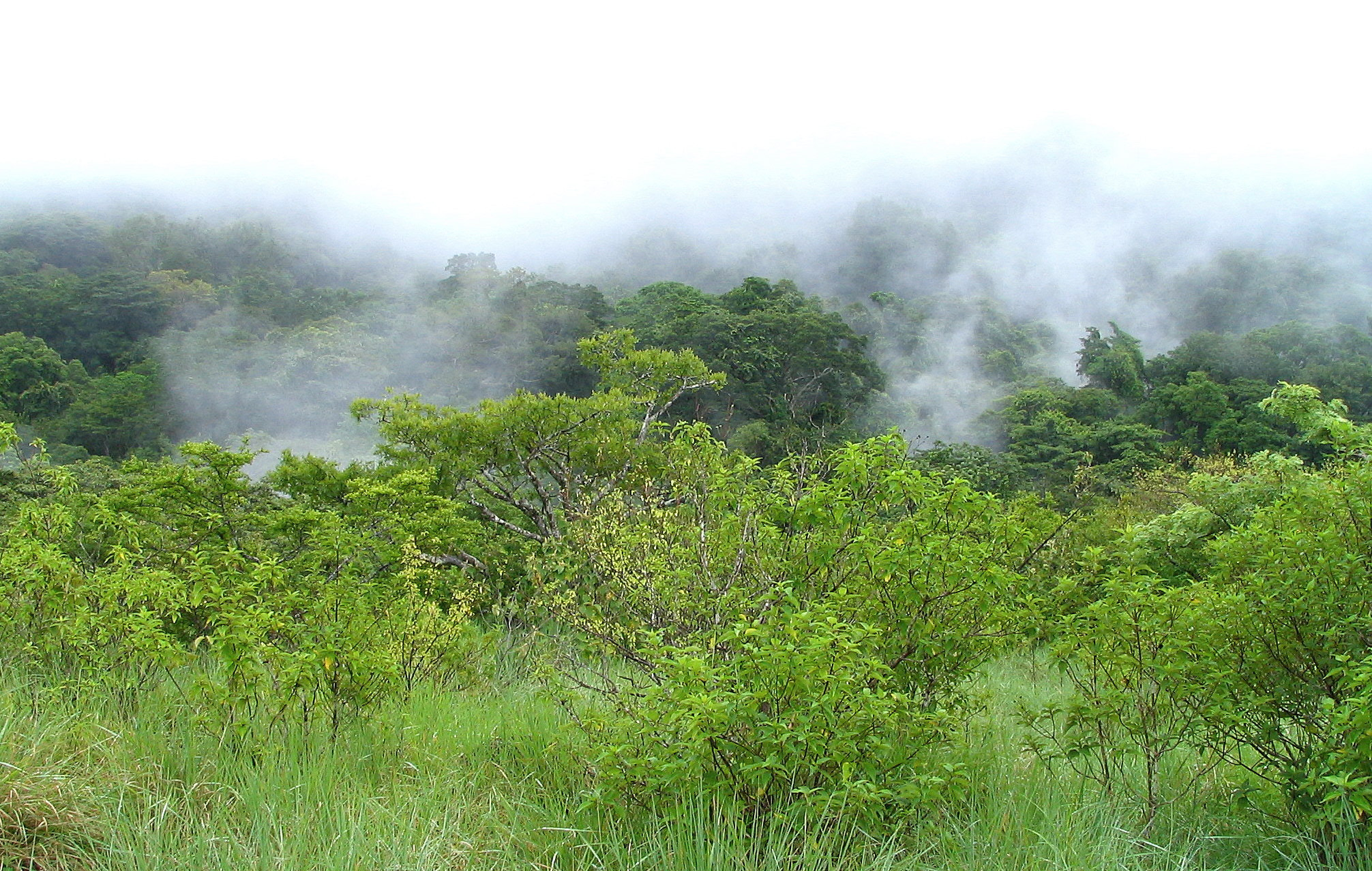 Canon POWERSHOT S1 IS sample photo. Tropical nature in a costa rican landscape photography