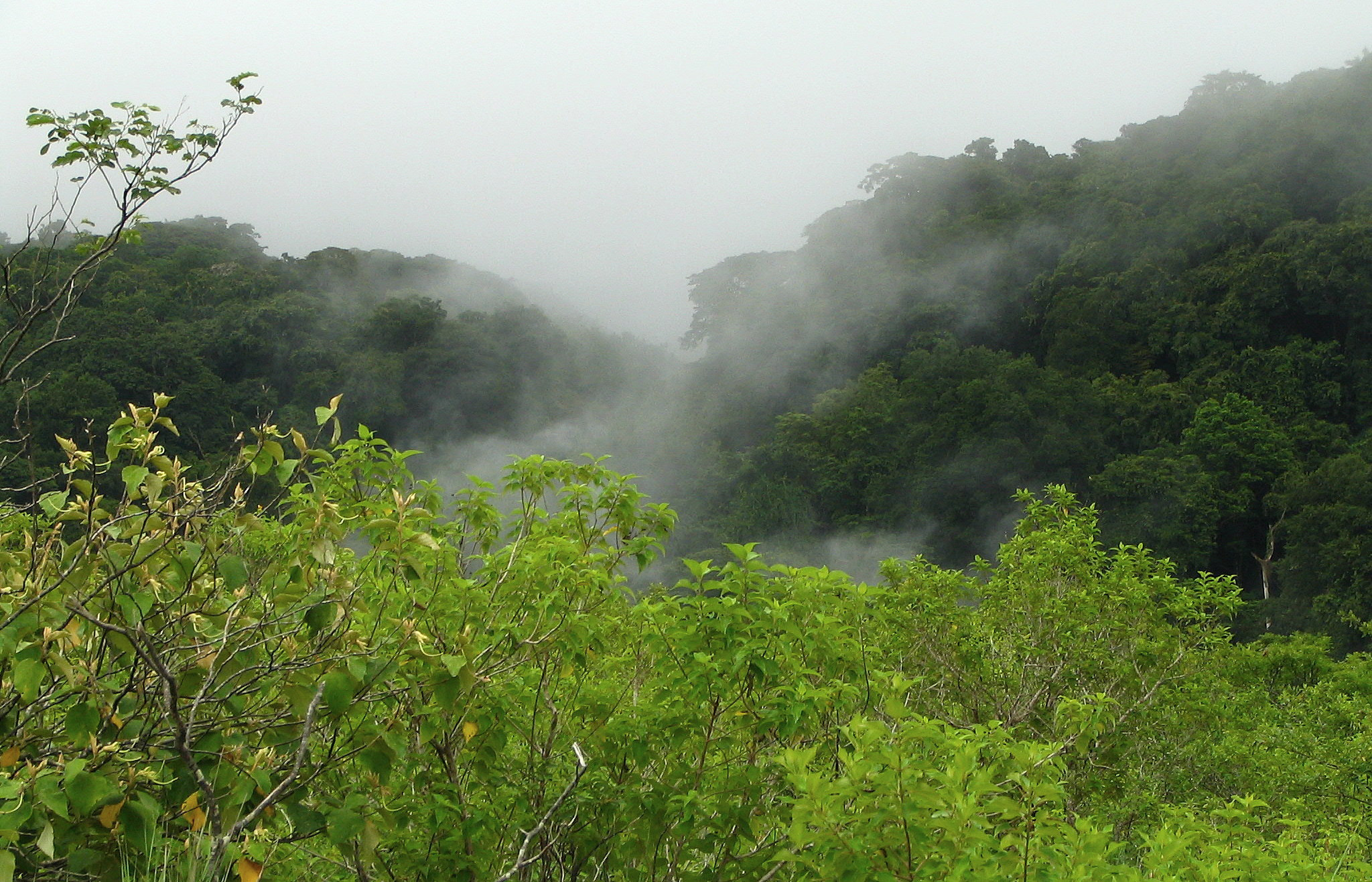 Canon POWERSHOT S1 IS sample photo. Tropical nature in a costa rican landscape photography