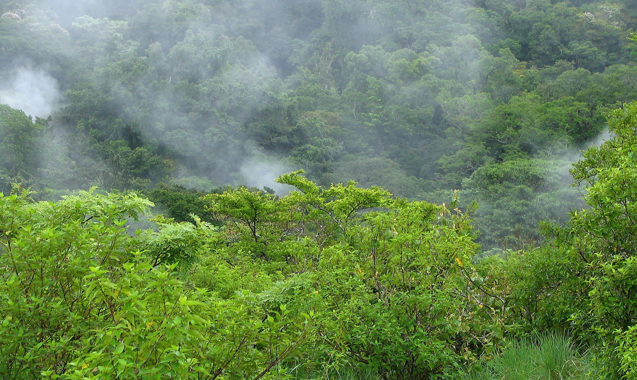 Canon POWERSHOT S1 IS sample photo. Tropical nature in a costa rican landscape photography