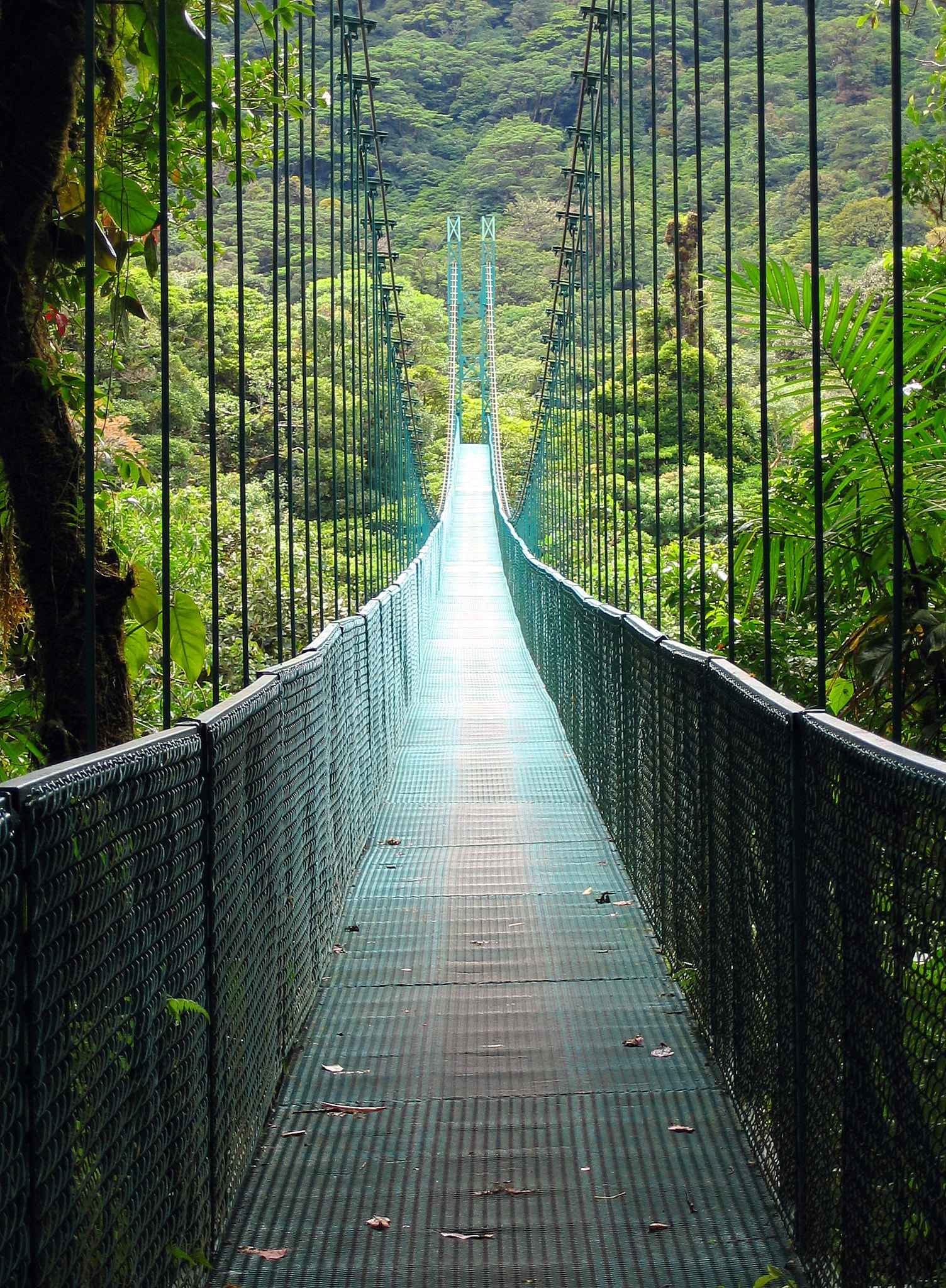 Canon DIGITAL IXUS 400 sample photo. Tropical nature in a costa rican landscape photography
