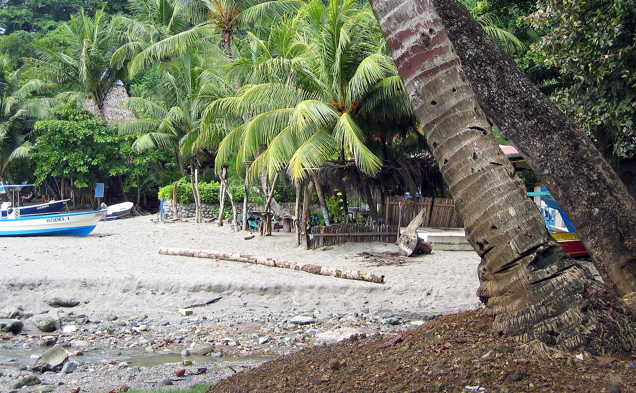 Canon DIGITAL IXUS 400 sample photo. Tropical nature in a costa rican landscape photography