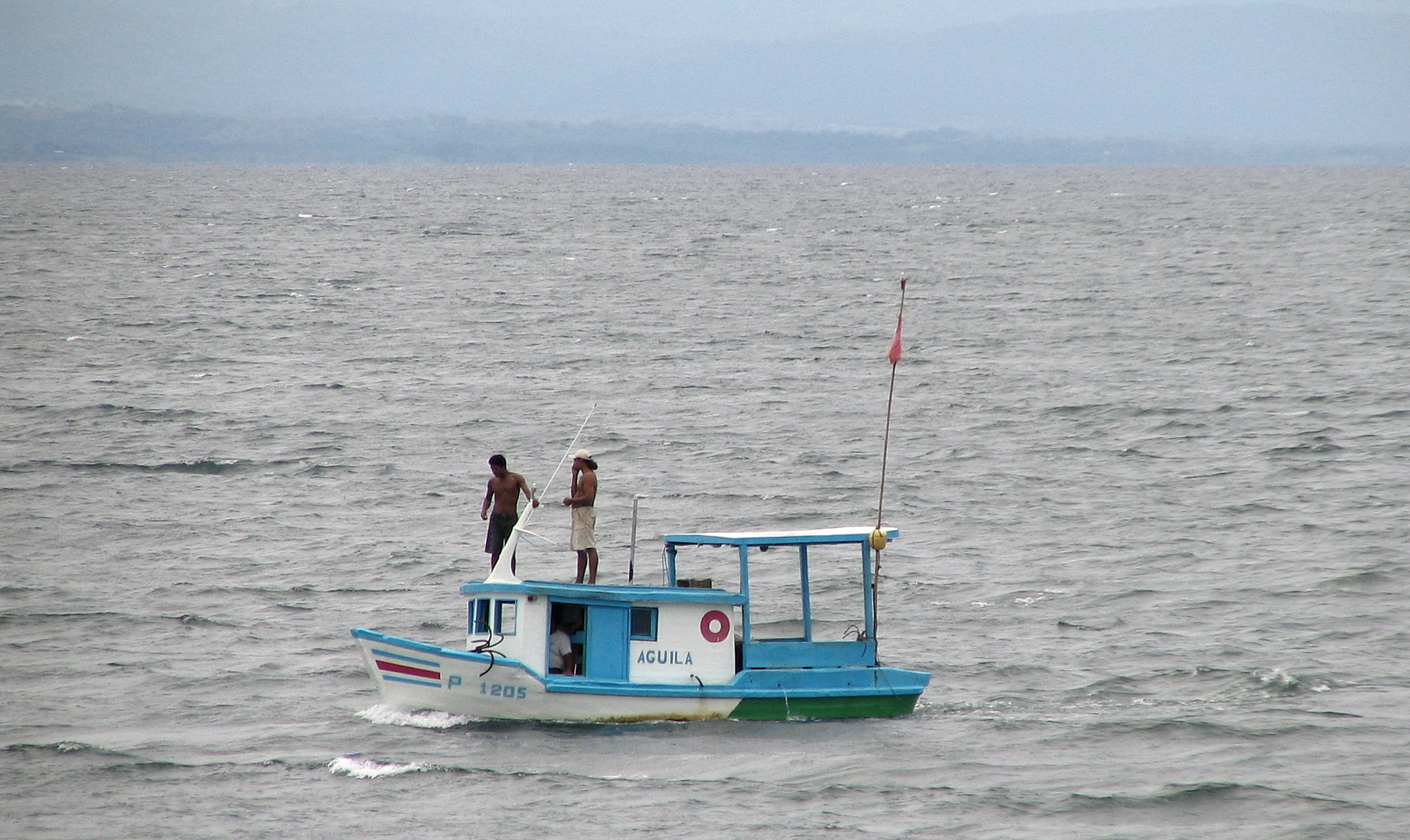 Canon POWERSHOT S1 IS sample photo. Nature flora and fauna of costa rica photography