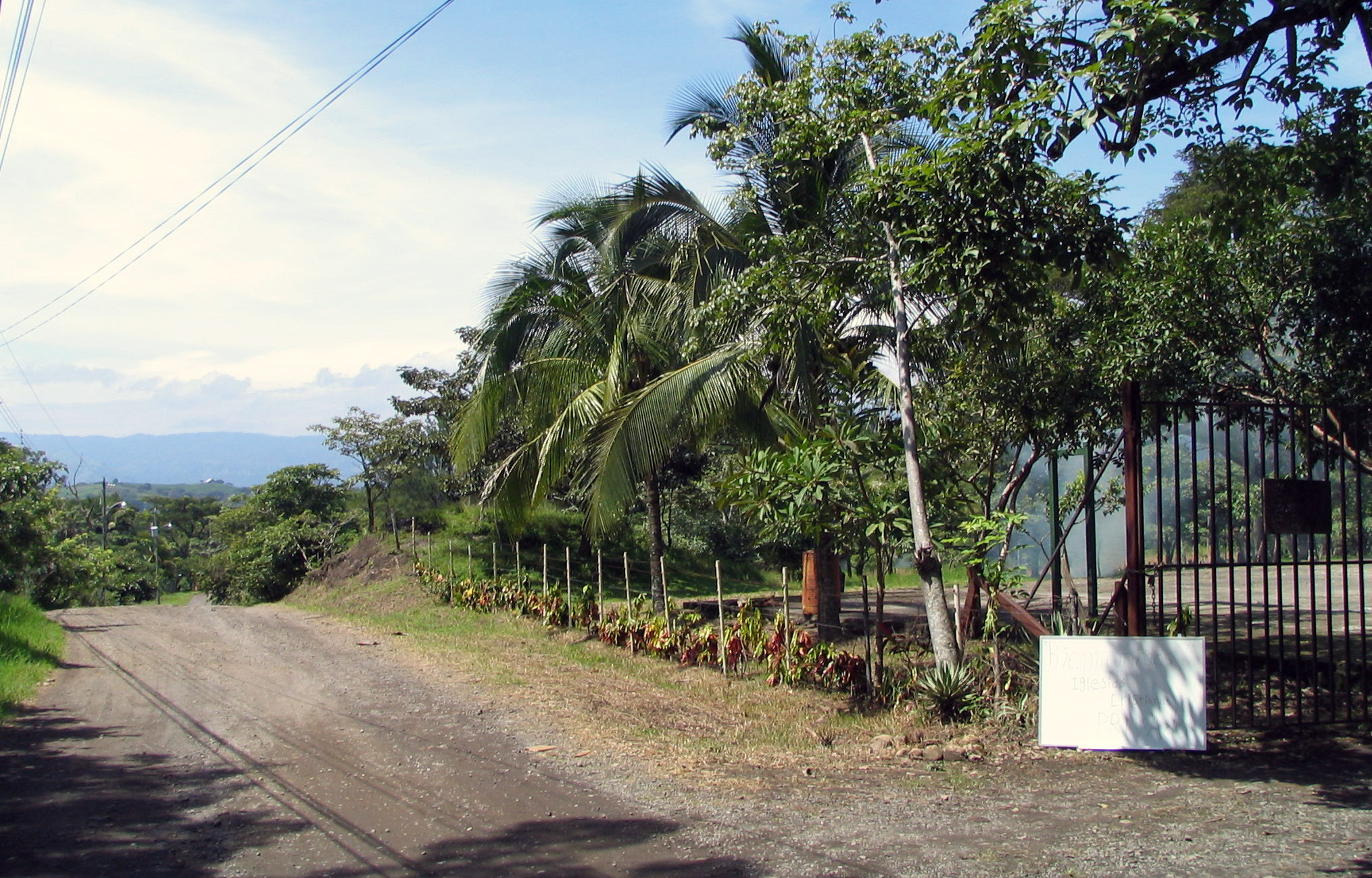 Canon POWERSHOT S1 IS sample photo. Nature flora and fauna of costa rica photography