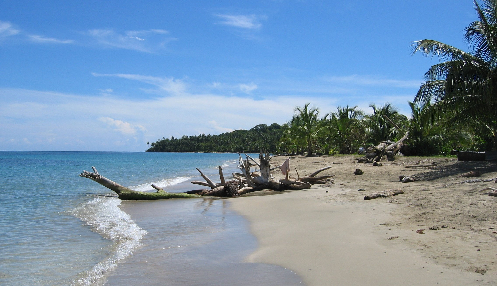 Canon DIGITAL IXUS 400 sample photo. Nature flora and fauna of costa rica photography