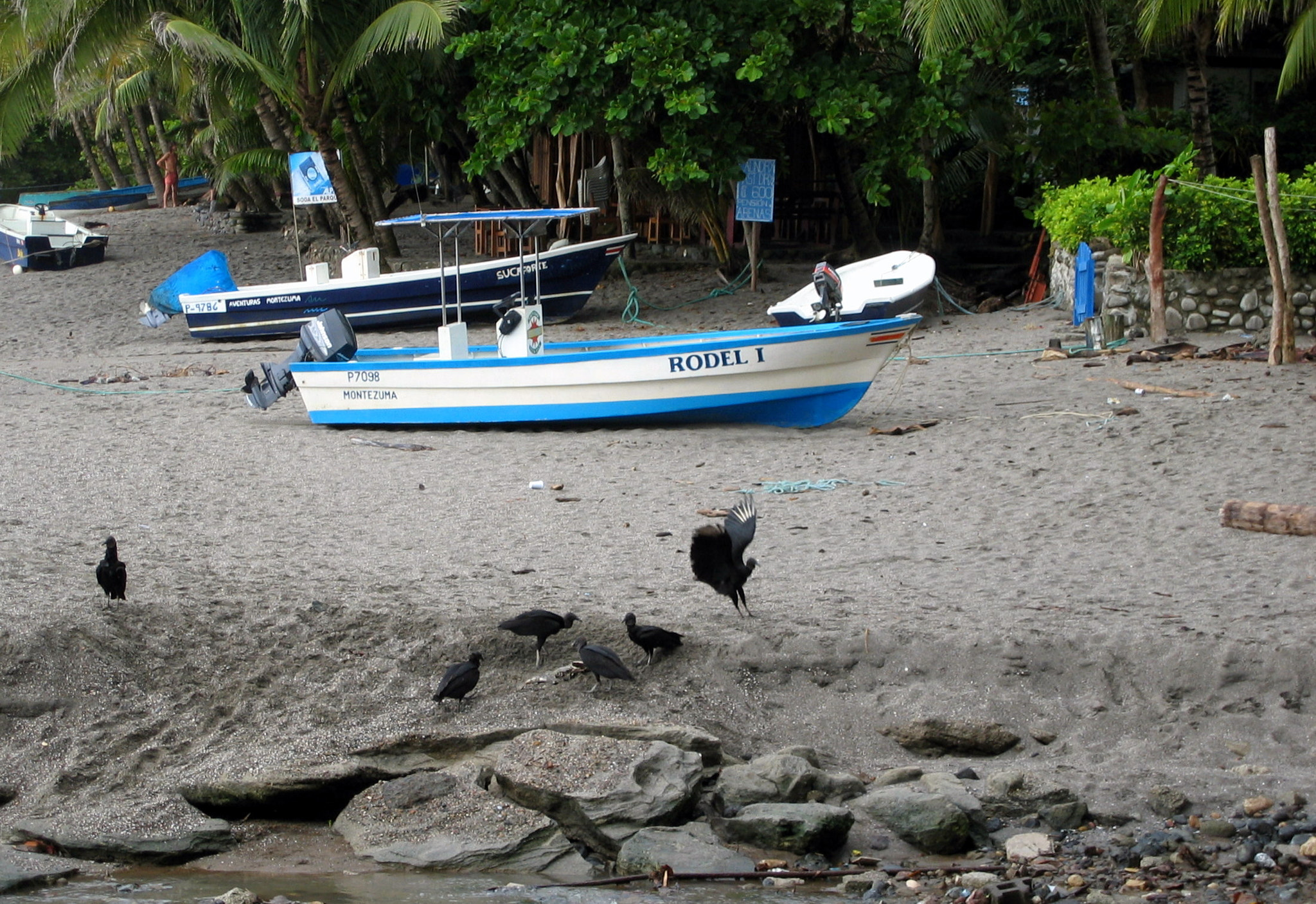 Canon DIGITAL IXUS 400 sample photo. Tropical nature in a costa rican landscape photography