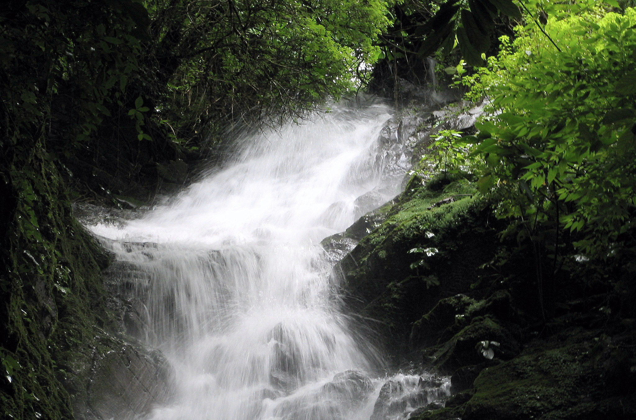Canon POWERSHOT S1 IS sample photo. Tropical nature in a costa rican landscape photography