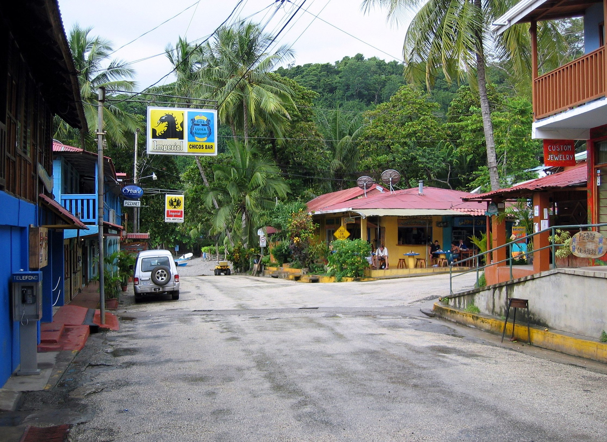 Canon DIGITAL IXUS 400 sample photo. Nature flora and fauna of costa rica photography