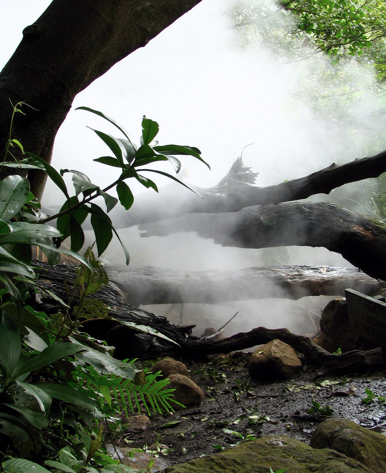 Canon POWERSHOT S1 IS sample photo. Tropical nature in a costa rican landscape photography