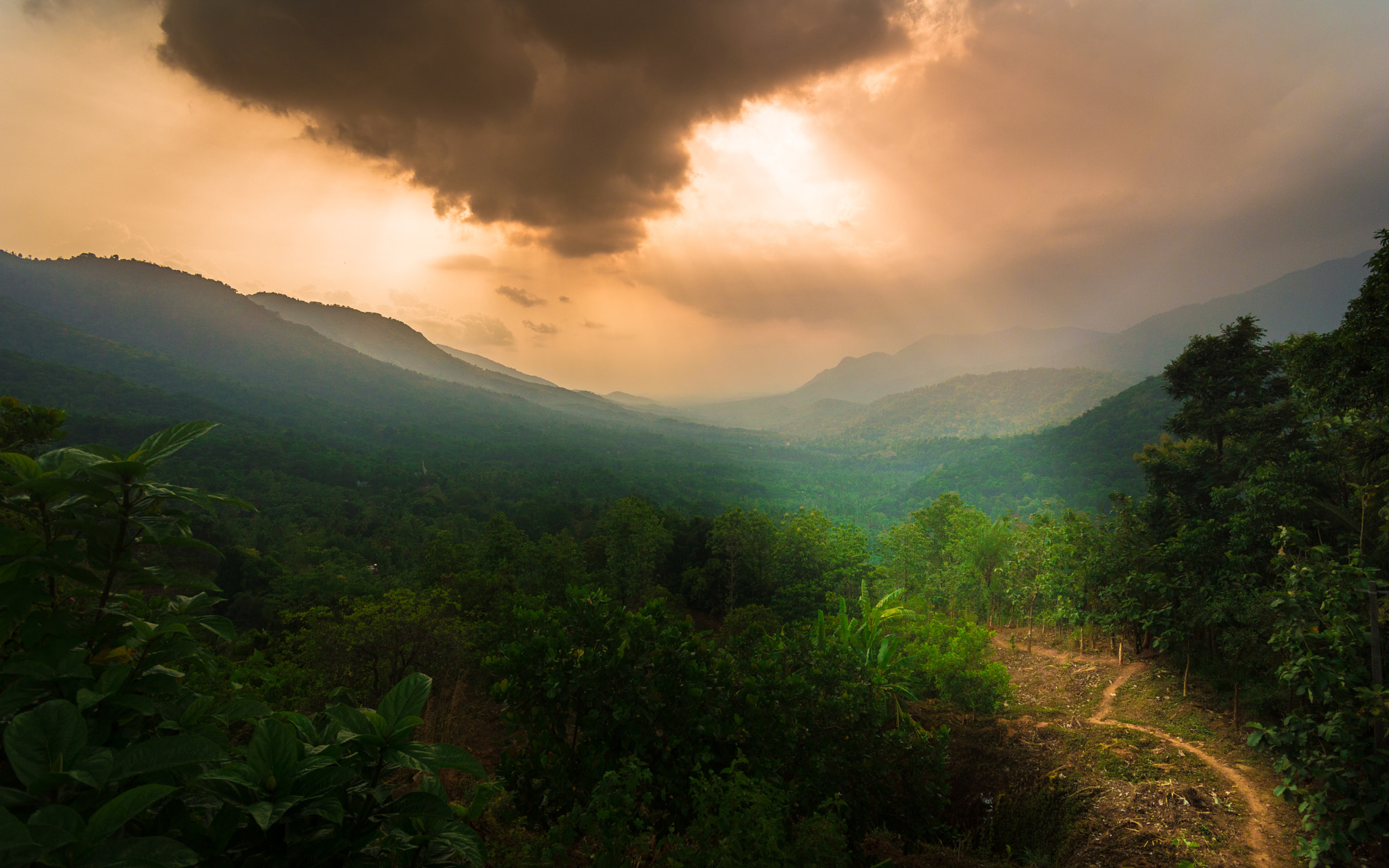 Sigma 10-20mm F4-5.6 EX DC HSM sample photo. Enlightened path photography