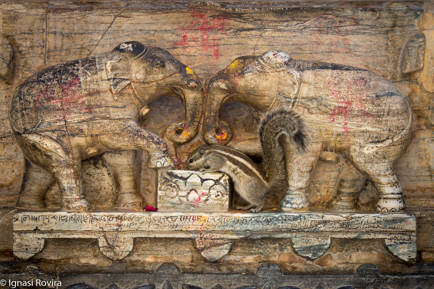 Nikon D600 sample photo. Jagdish temple, udaipur, india photography