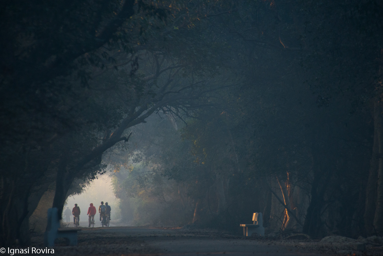 Nikon D600 sample photo. Keoladeo ghana national park, bharatpur, india photography