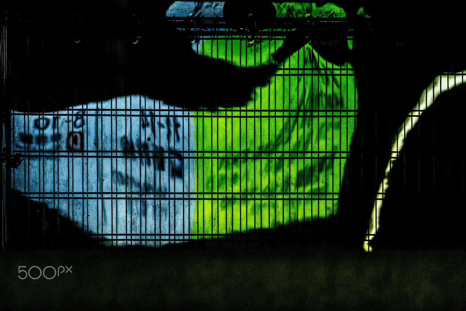 Sony a6000 + Sony FE 70-200mm F4 G OSS sample photo. Light in disorder photography