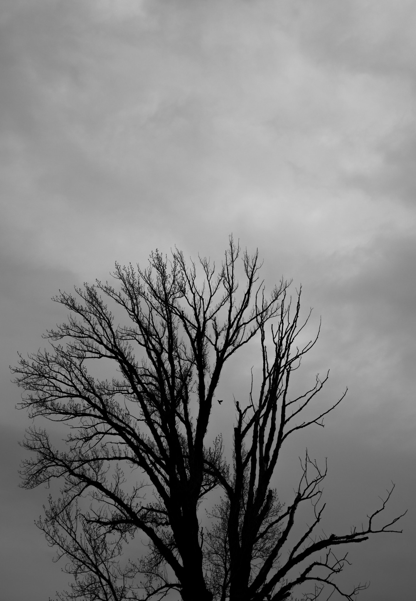 Panasonic Lumix DMC-GX85 (Lumix DMC-GX80 / Lumix DMC-GX7 Mark II) sample photo. Unnamed photography