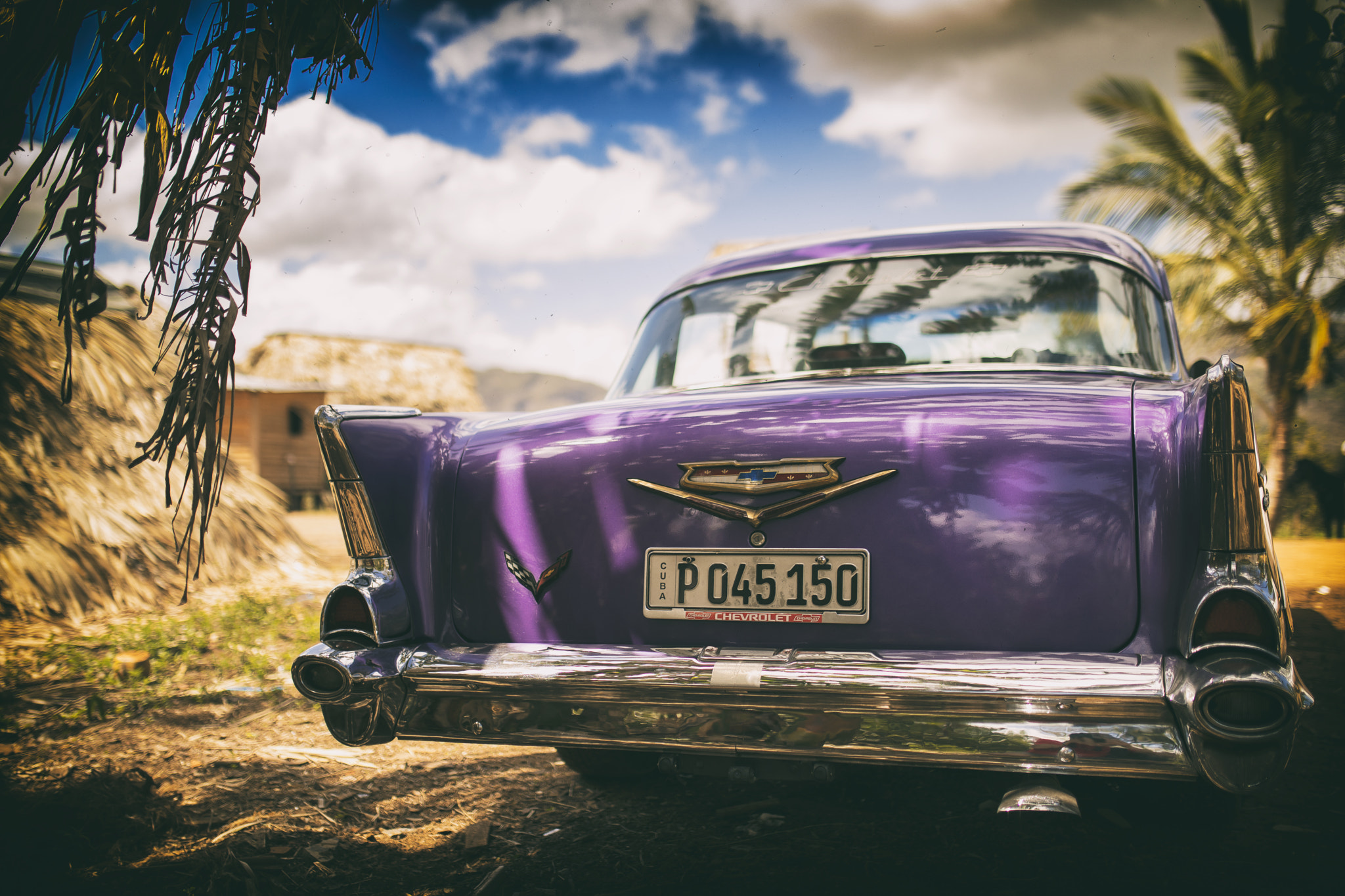 Sigma 35mm F1.4 DG HSM Art sample photo. Purple photography