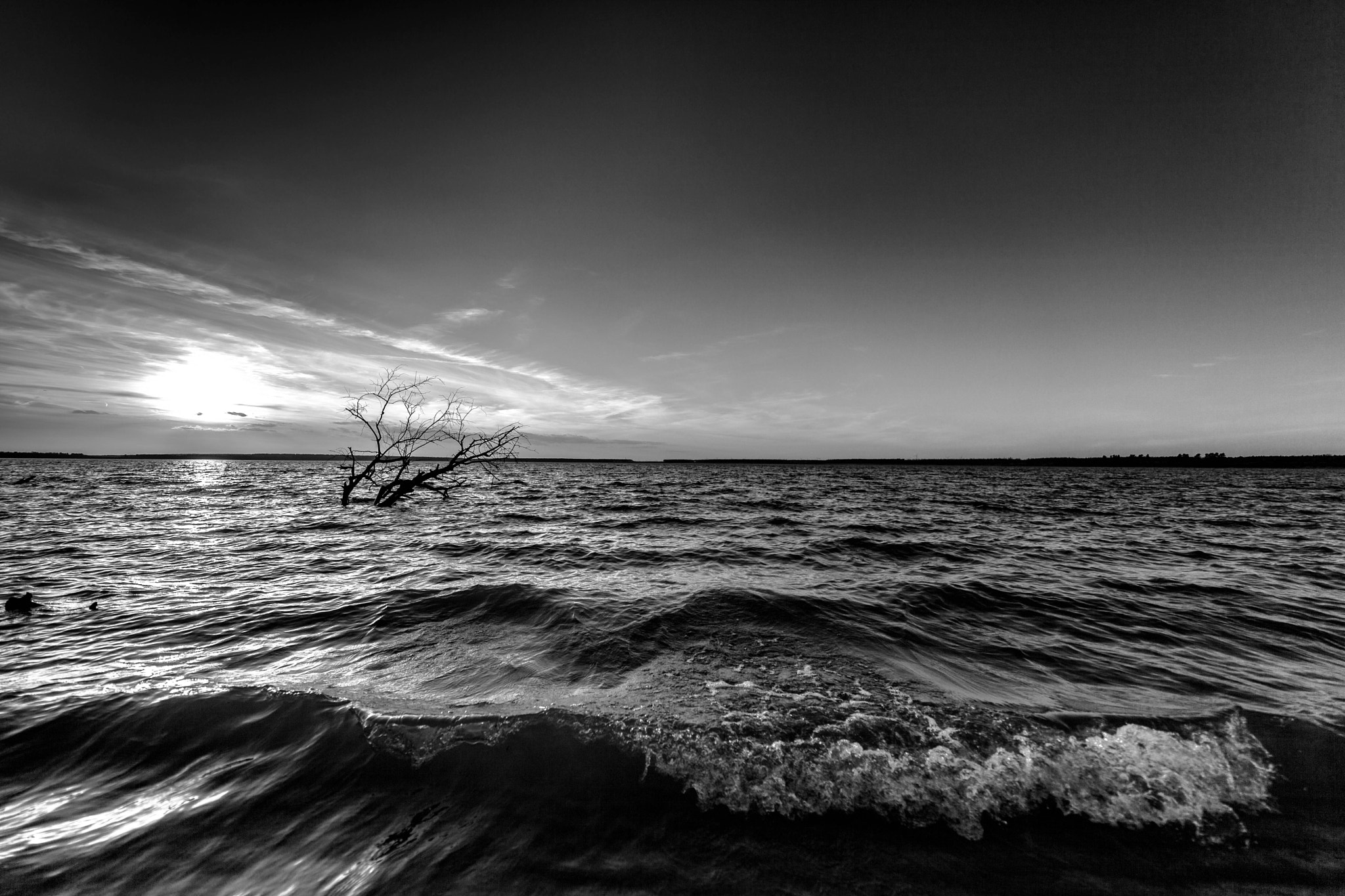 Canon EF 300mm f/2.8L sample photo. Lake partwitzer photography