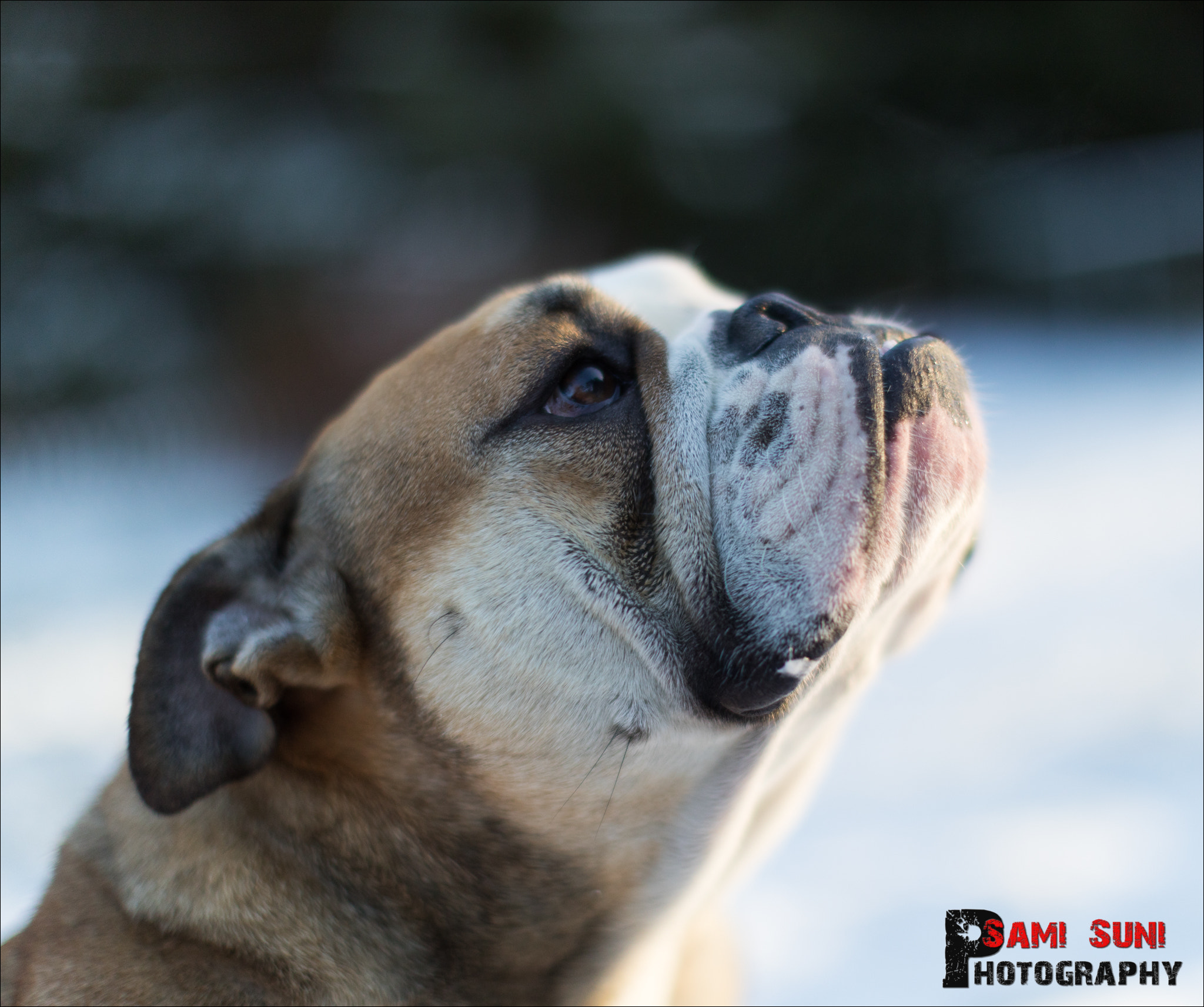 Canon EF 50mm F1.2L USM sample photo. Ga photography
