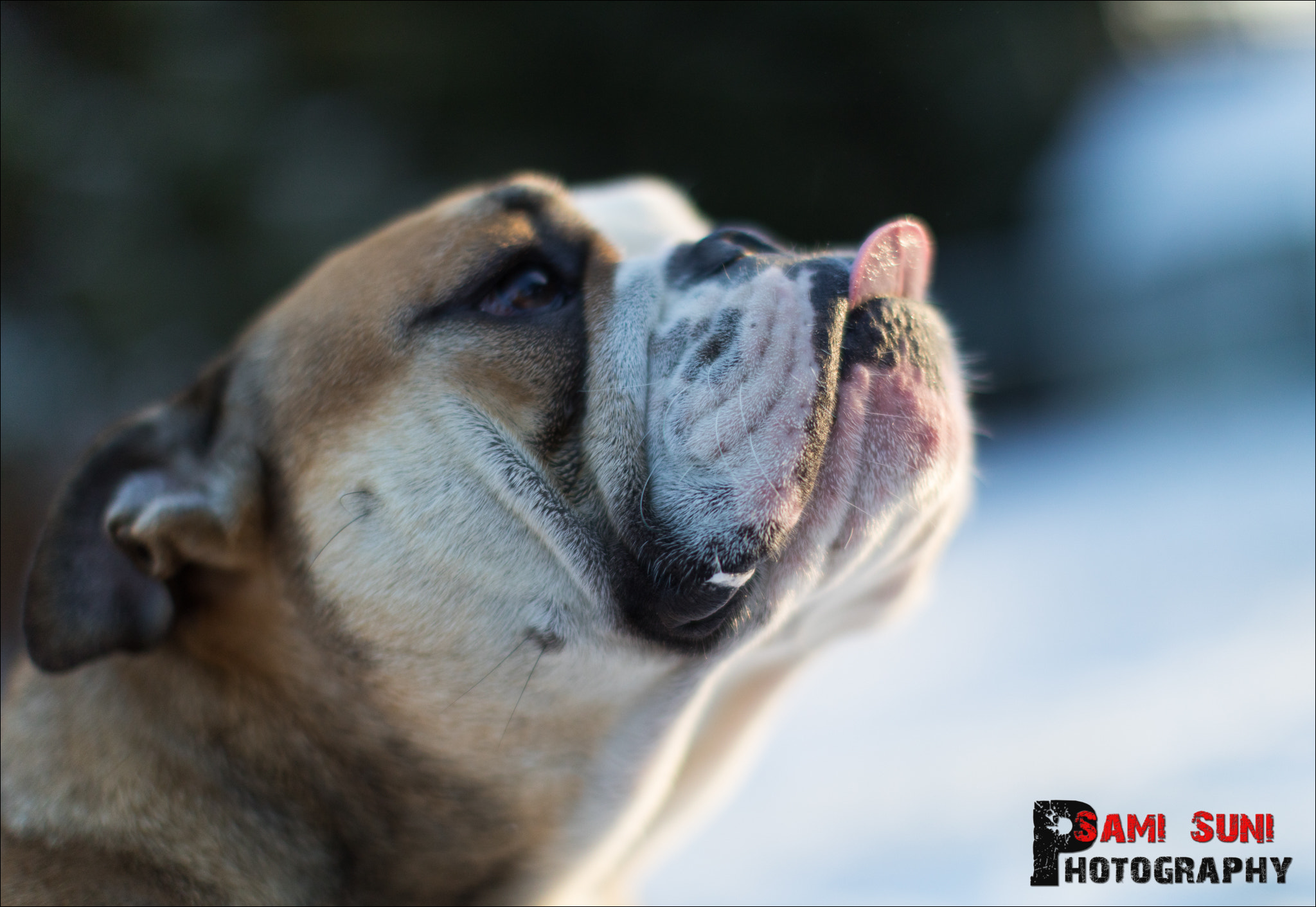 Canon EF 50mm F1.2L USM sample photo. Ga photography