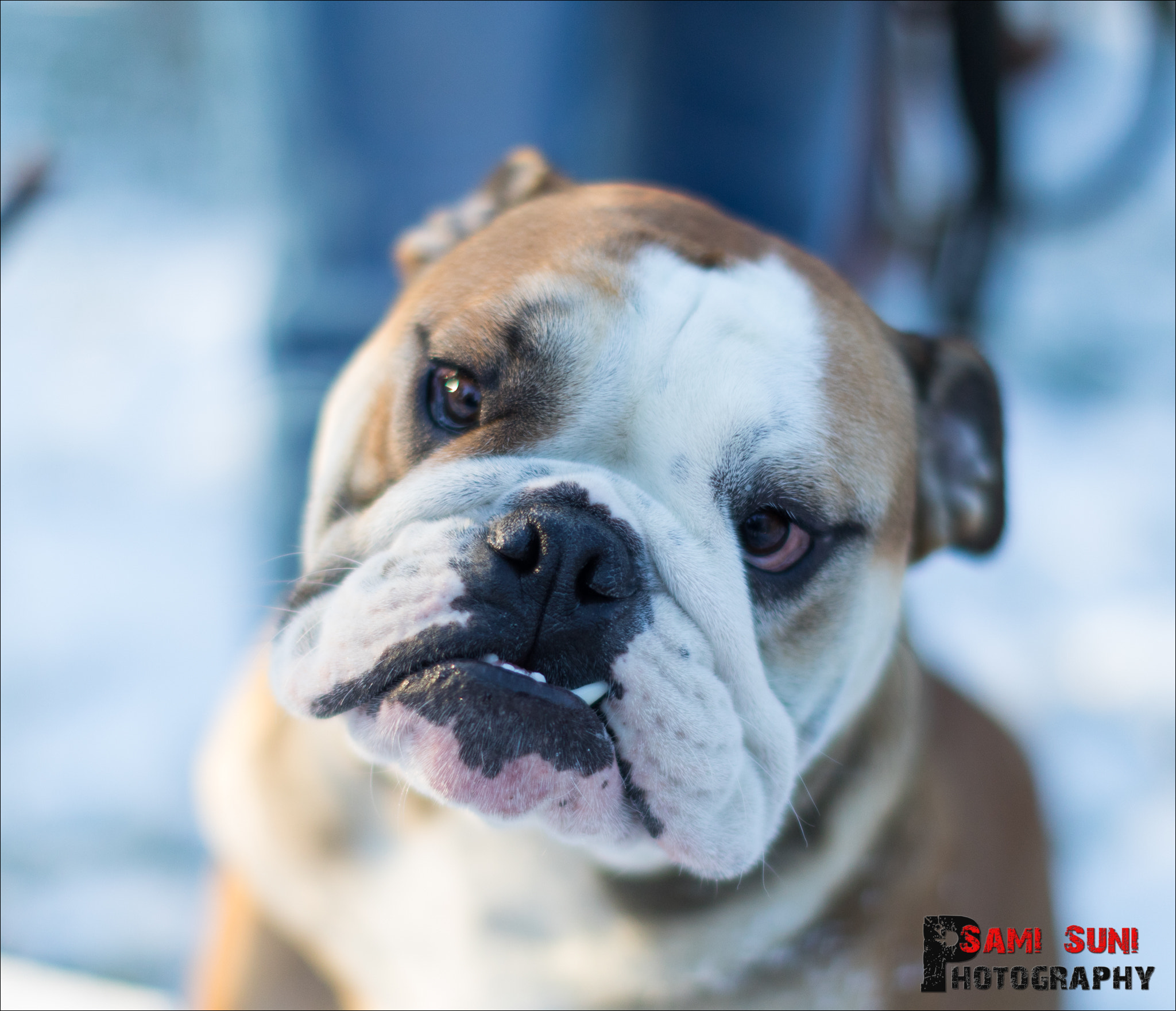 Canon EF 50mm F1.2L USM sample photo. Ga photography